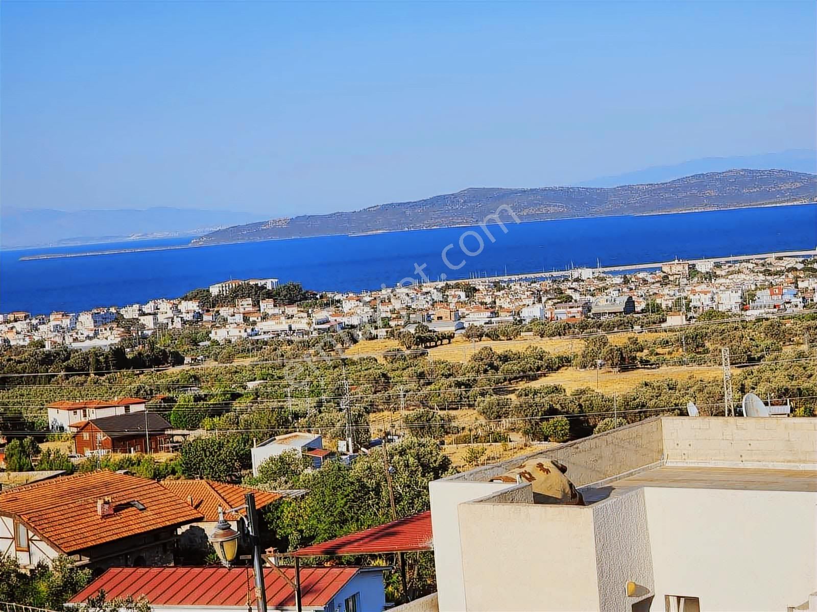 Mordoğan Emlaktan Yerleşim Yeri İçerisinde 2600 M2 Satılık Tarla - Görsel 5