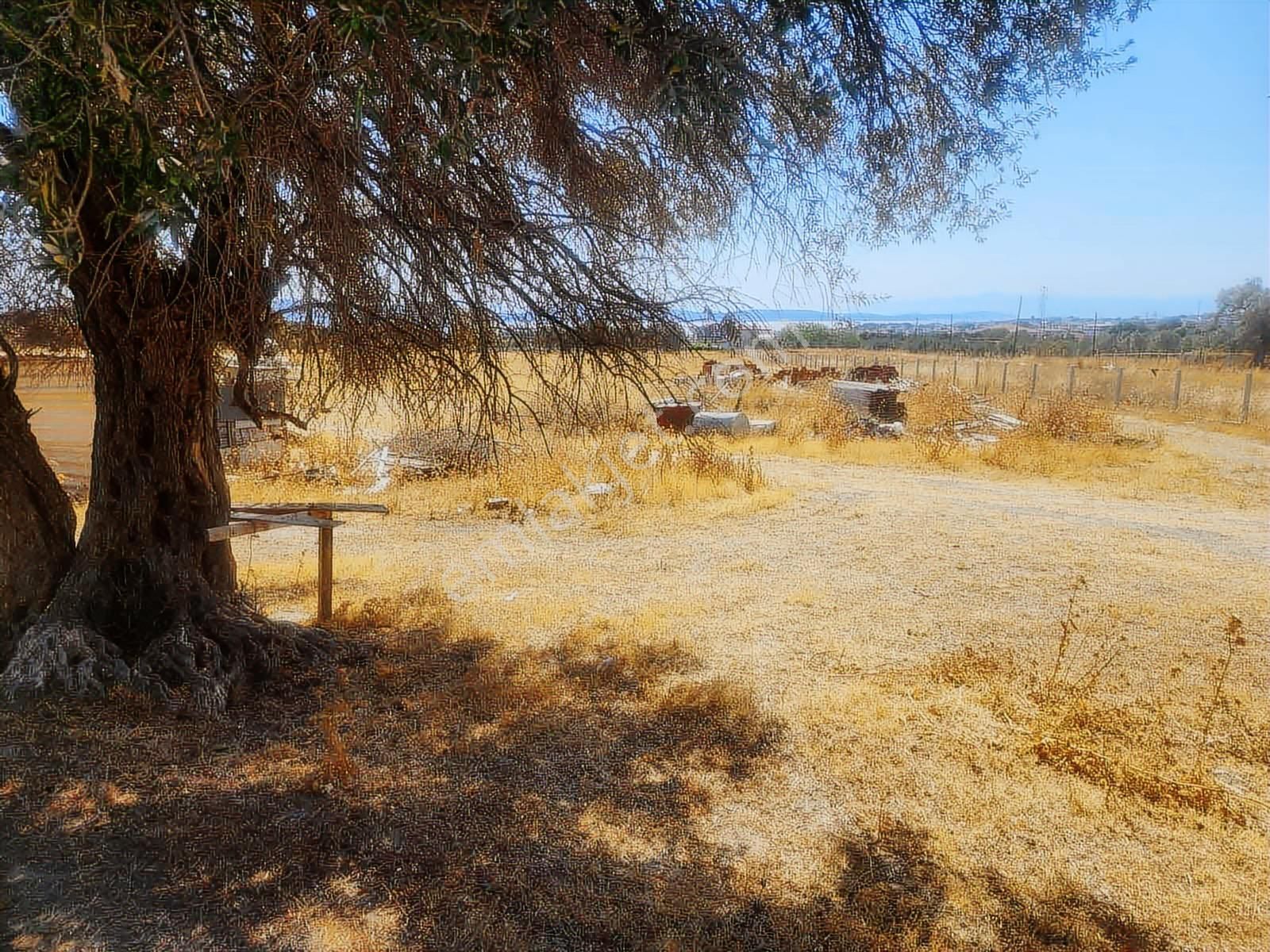 Mordoğan Emlaktan Yerleşim Yeri İçerisinde 2600 M2 Satılık Tarla - Görsel 6