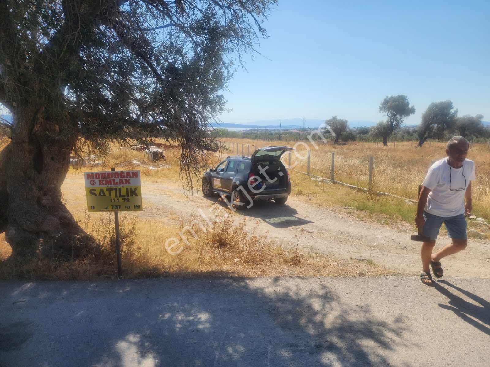 Mordoğan Emlaktan Yerleşim Yeri İçerisinde 2600 M2 Satılık Tarla - Görsel 4