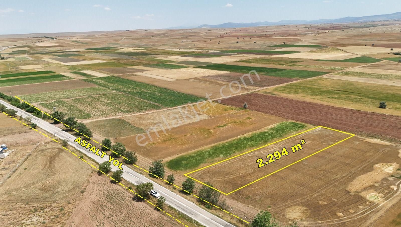 Konya / Akören / Orhaniye Mahallesinde 2.294 M² Müstakil Tapulu Tarla - Görsel 4