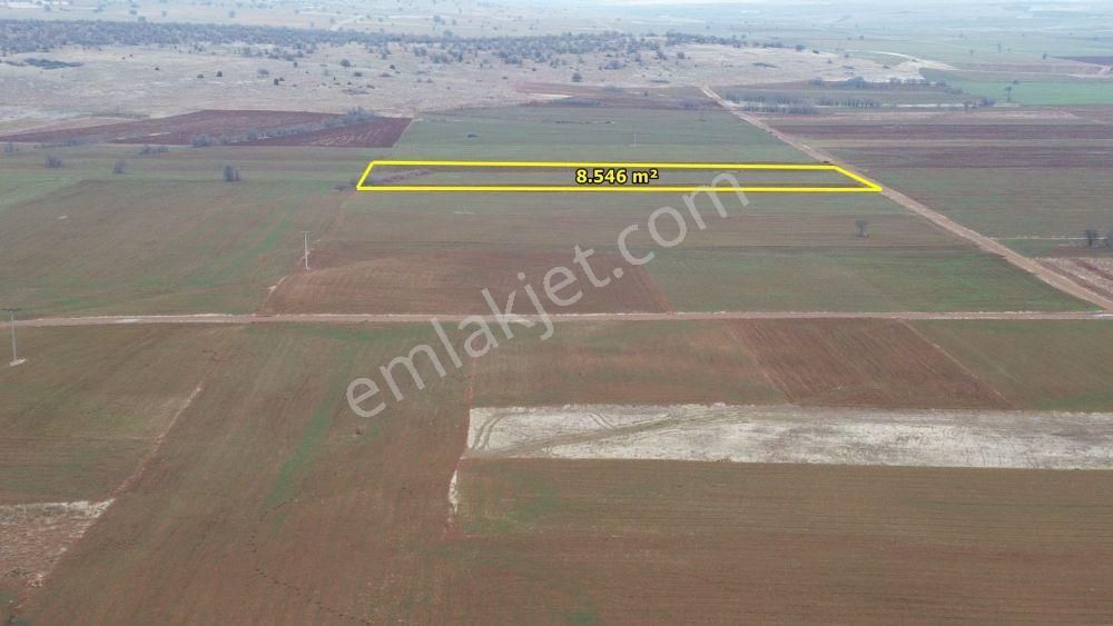 Akören Hacılar Da 8.546 M2 Müstakil Tapulu Arazi - Görsel 3