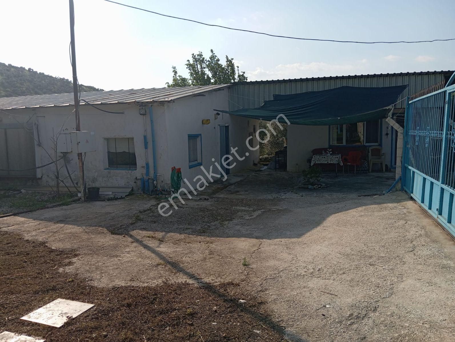 İzmir Tire Akçaşehir De 4600m2 Tarla İçerisinde Tavuk Çiftliği - Görsel 5