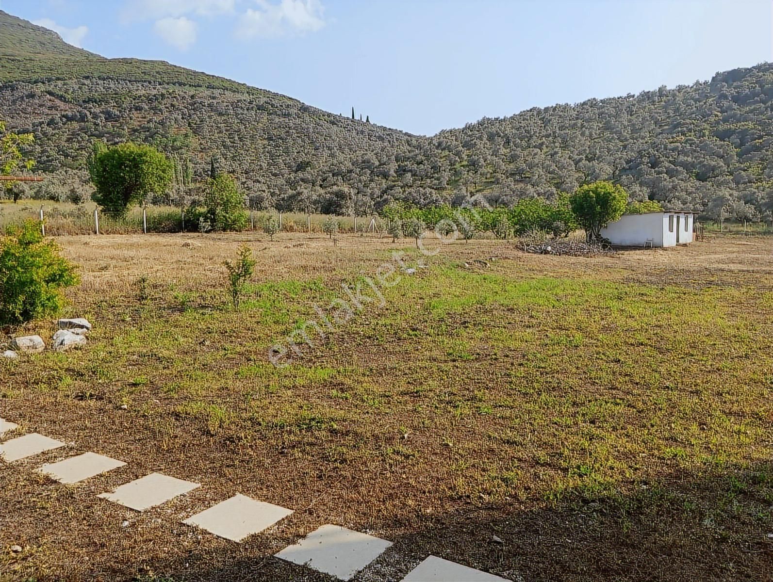 İzmir Tire Akçaşehir De 4600m2 Tarla İçerisinde Tavuk Çiftliği - Görsel 14