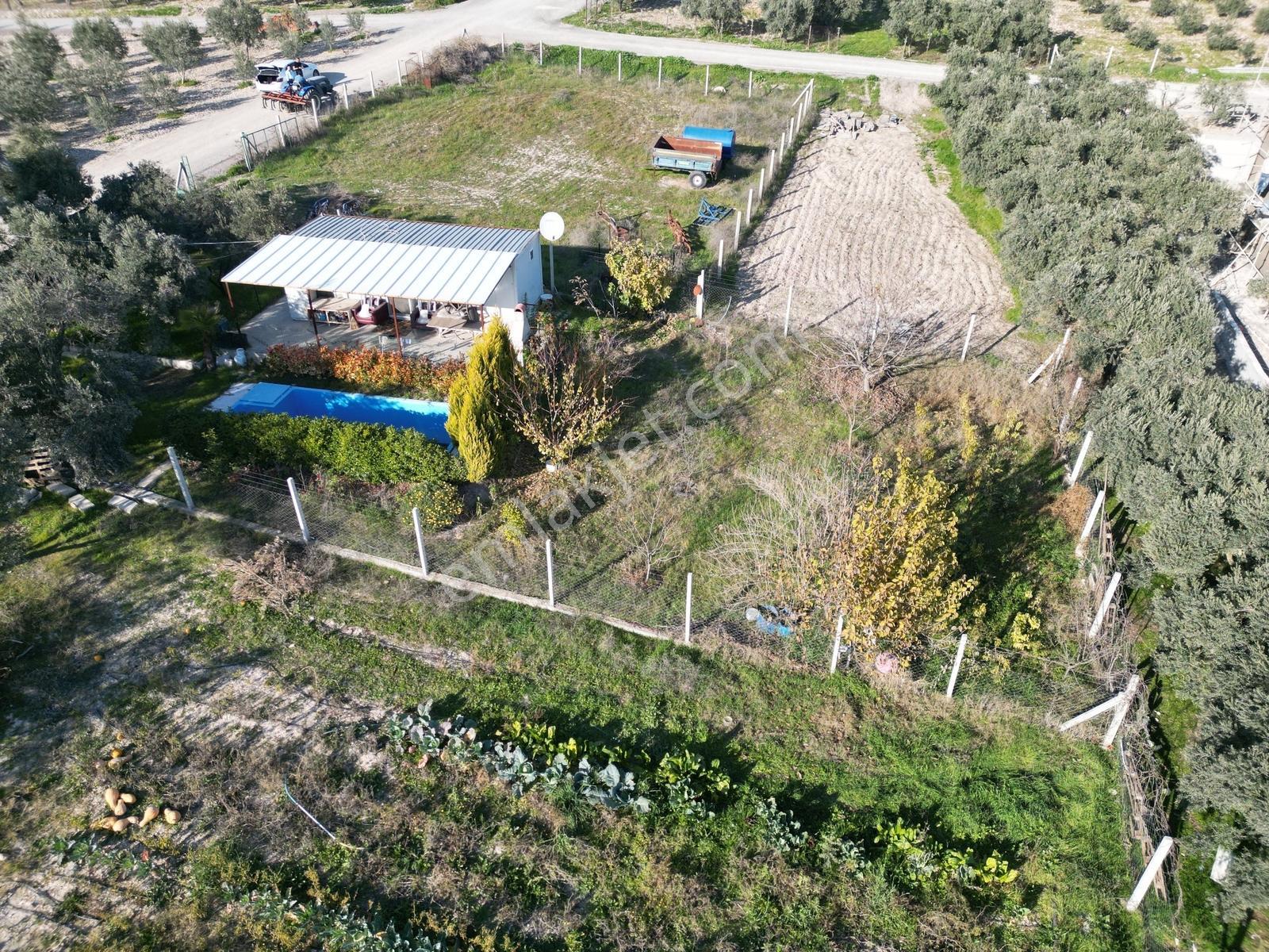 Q'zen Den Tekelide 0.50 Emsal 2 Kat İmarlı Arsa - Görsel 4