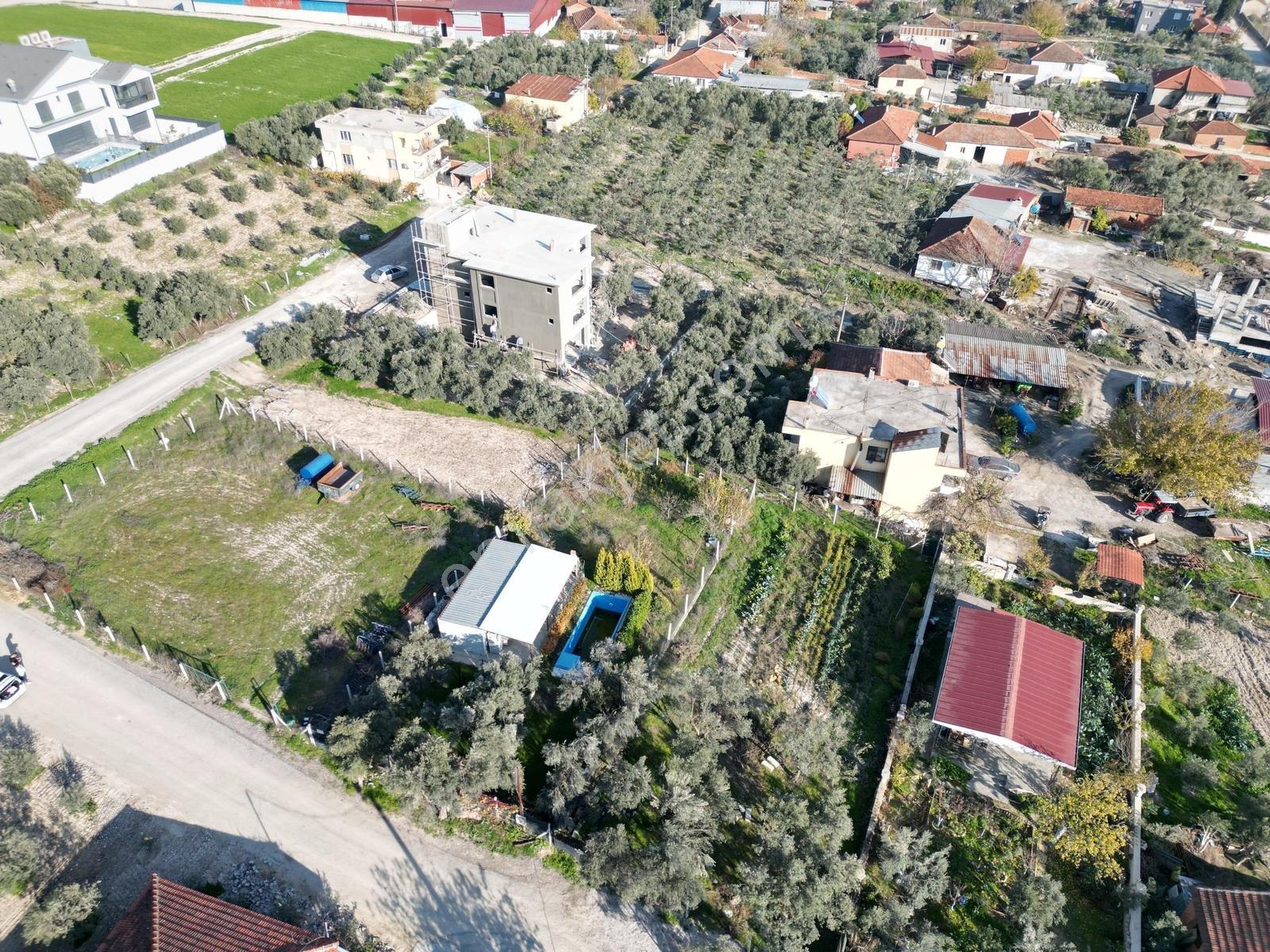 Q'zen Den Tekelide 0.50 Emsal 2 Kat İmarlı Arsa - Görsel 10