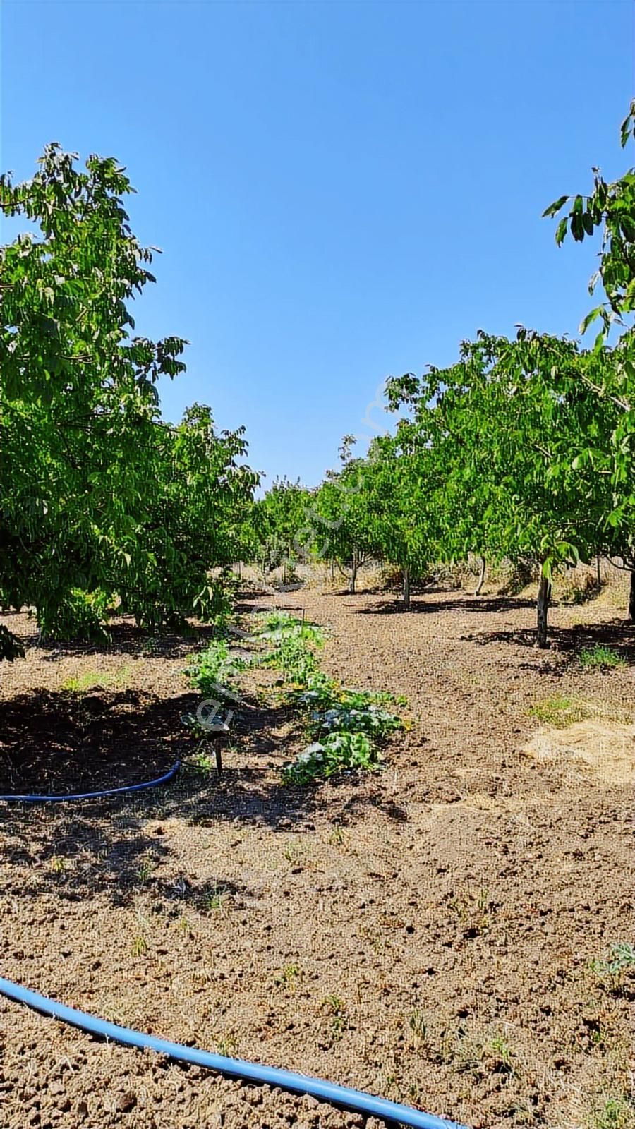 Silivride 6.403 M² Tek Tapulu Müstakil Çiftlik