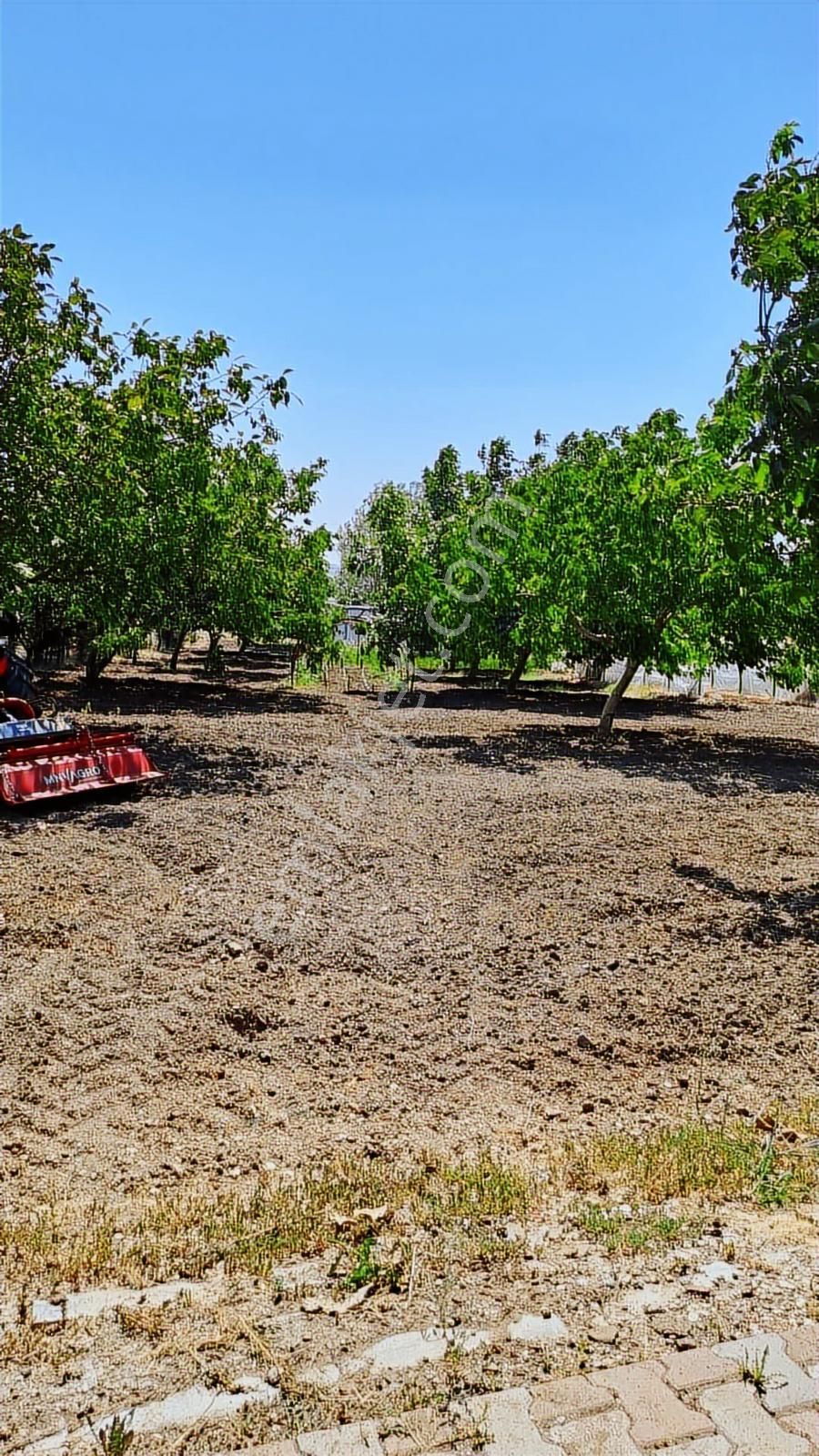 Silivride 6.403 M² Tek Tapulu Müstakil Çiftlik - Görsel 8