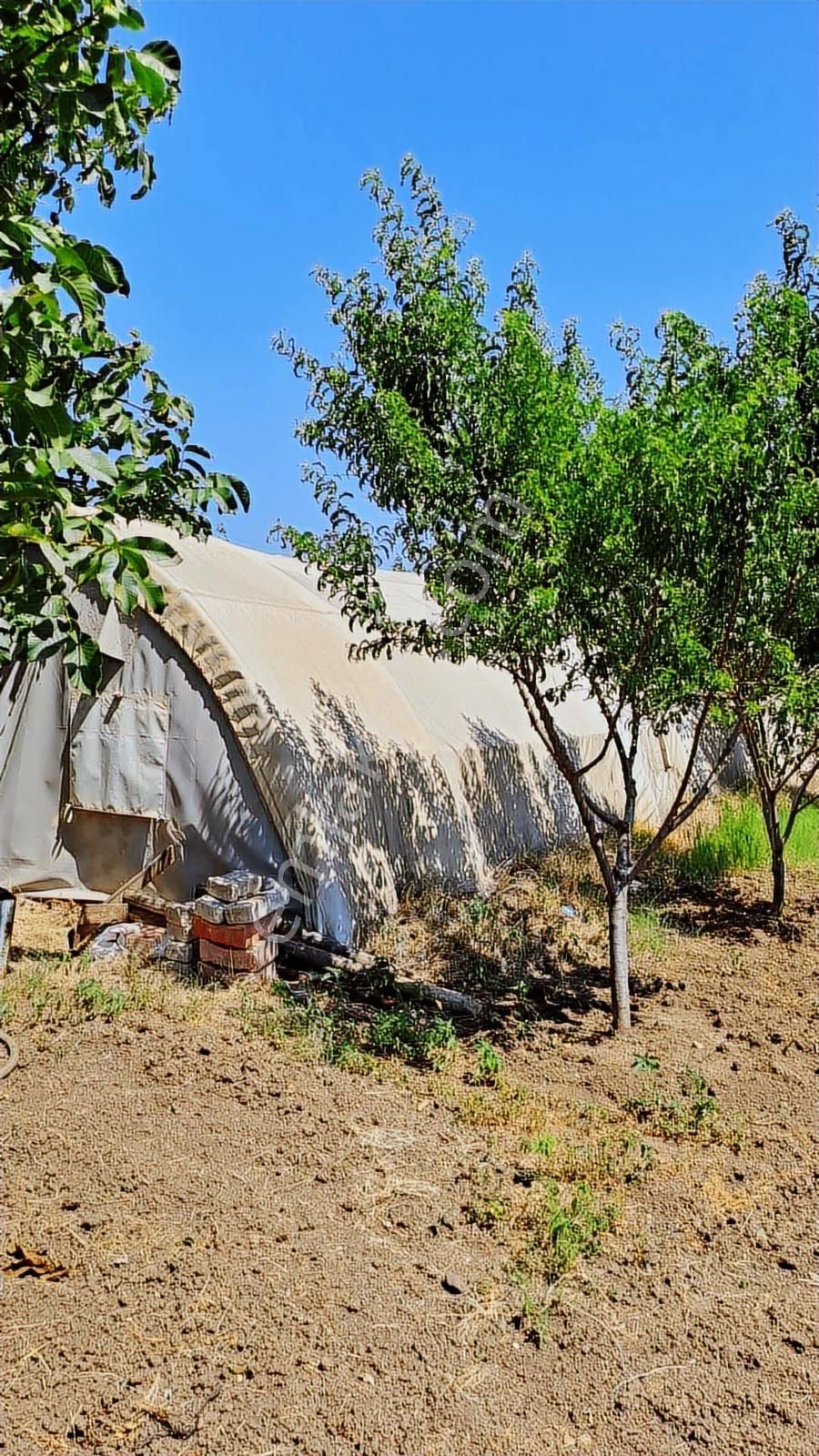 Silivride 6.403 M² Tek Tapulu Müstakil Çiftlik - Görsel 10