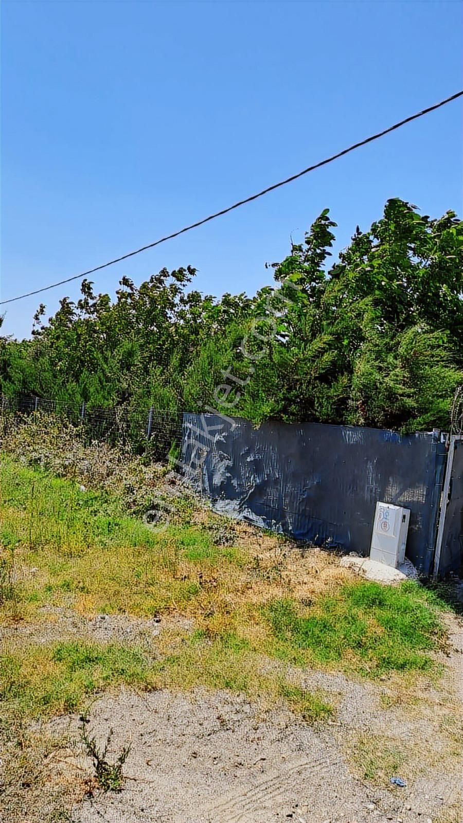 Silivride 6.403 M² Tek Tapulu Müstakil Çiftlik - Görsel 2