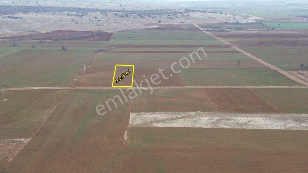 Akören Hacılar Da 3.136 M2 Müstakil Tapulu Arazi - Görsel 4