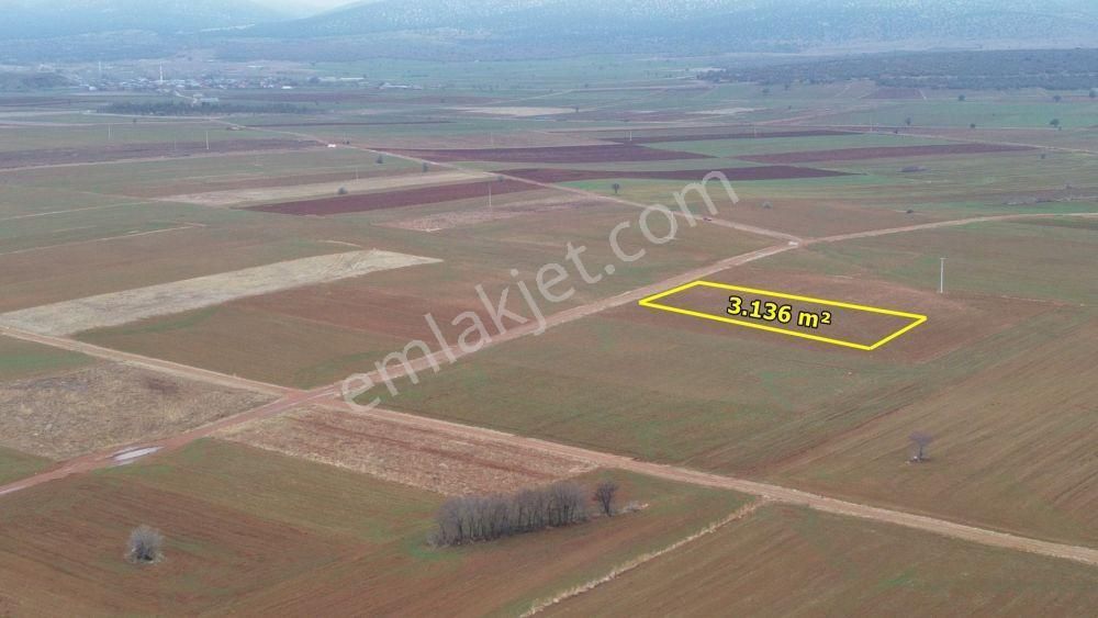 Akören Hacılar Da 3.136 M2 Müstakil Tapulu Arazi