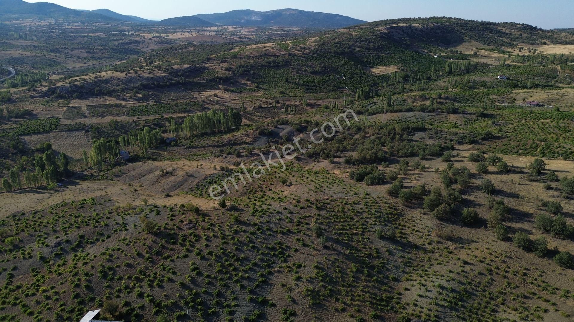 Konya / Bozkır / Hamzalar Da 1.245 M² Müstakil Bağ - Görsel 3
