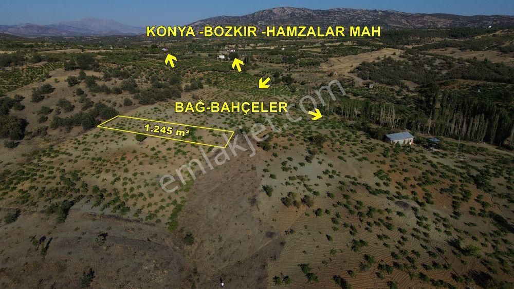 Konya / Bozkır / Hamzalar Da 1.245 M² Müstakil Bağ - Görsel 6