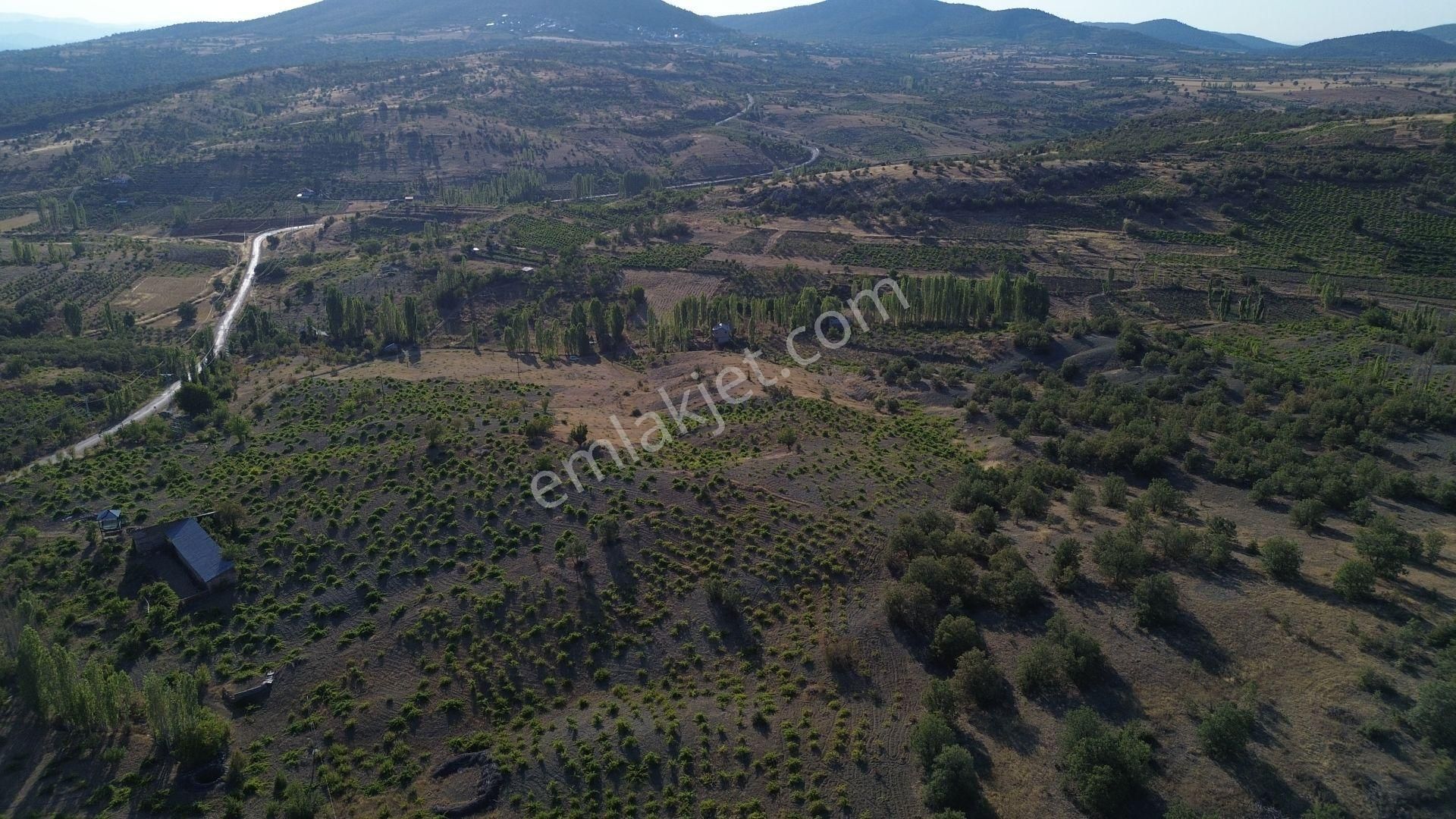 Konya / Bozkır / Hamzalar Da 1.245 M² Müstakil Bağ - Görsel 4