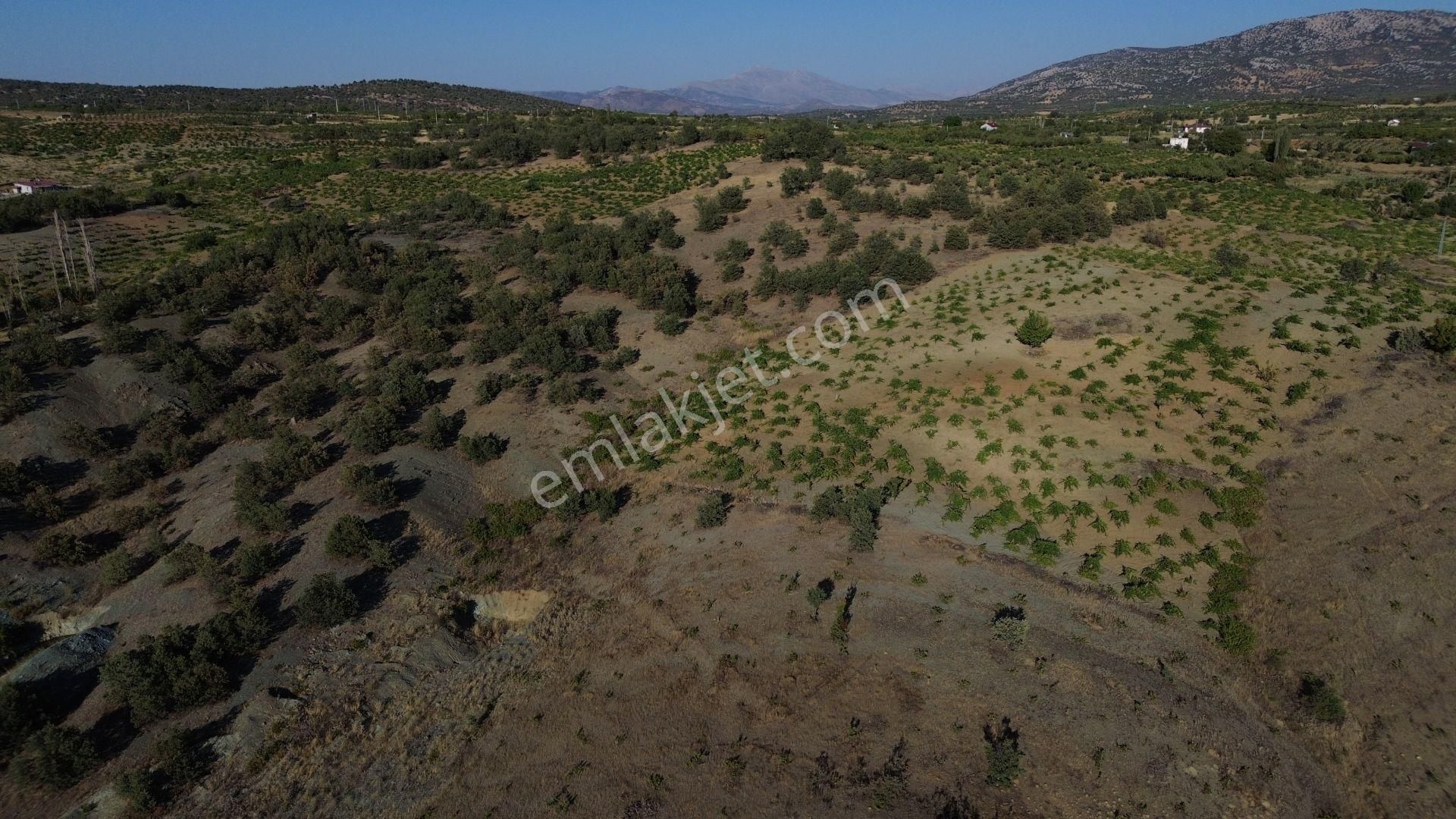 Konya / Bozkır / Hamzalar Da 1.245 M² Müstakil Bağ - Görsel 8