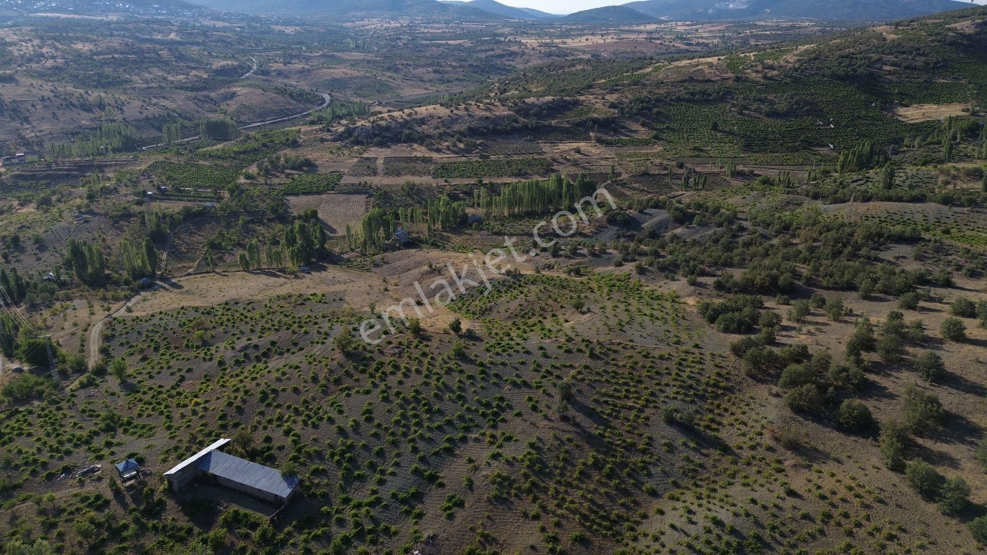 Konya / Bozkır / Hamzalar Da 1.245 M² Müstakil Bağ - Görsel 5