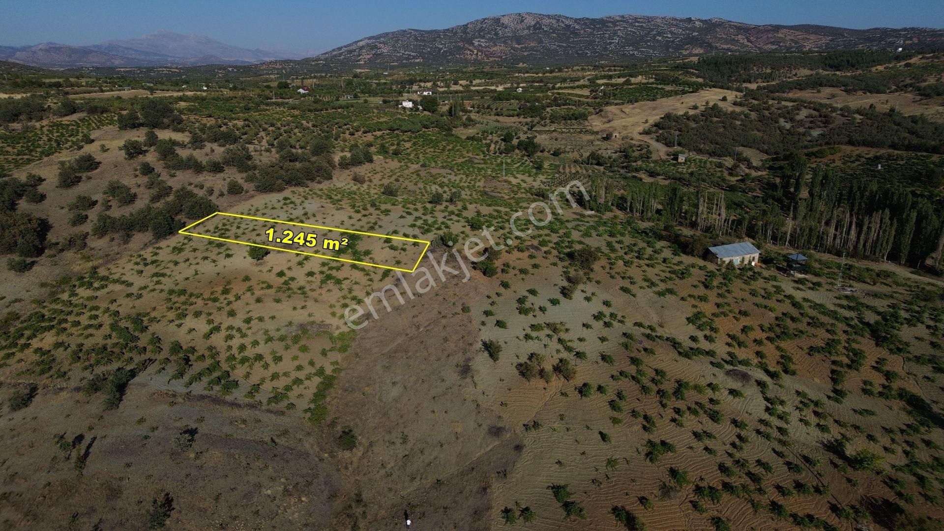 Konya / Bozkır / Hamzalar Da 1.245 M² Müstakil Bağ - Görsel 9