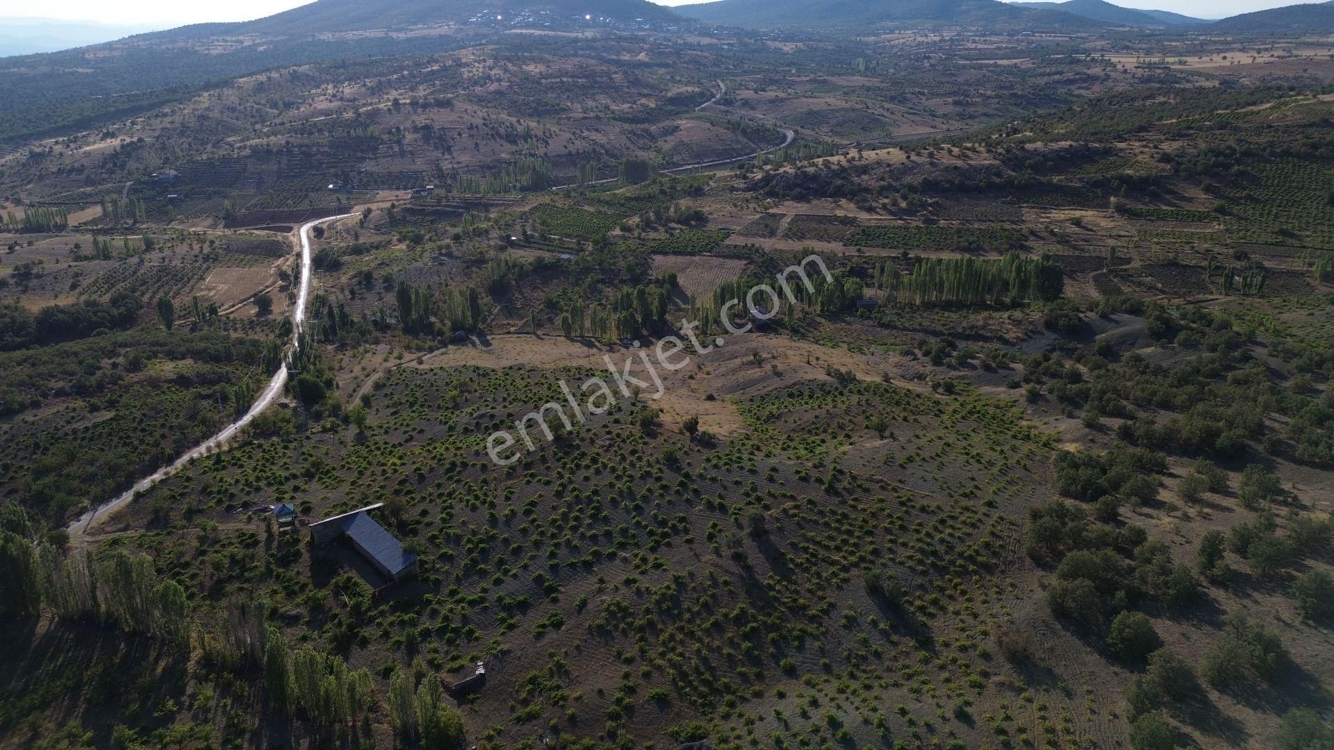 Konya / Bozkır / Hamzalar Da 1.245 M² Müstakil Bağ - Görsel 7