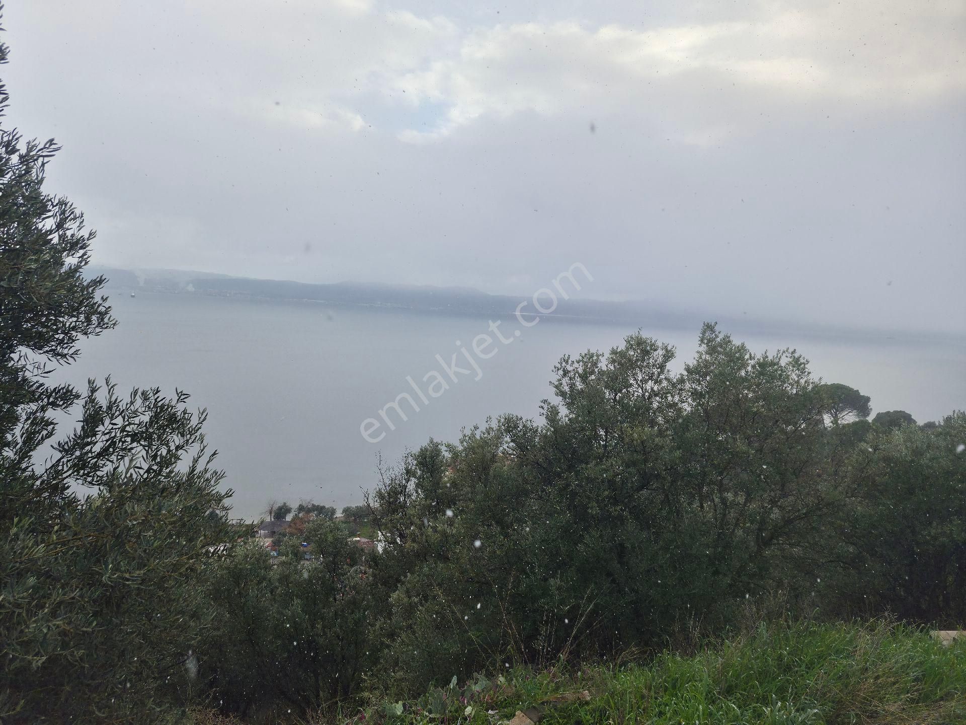 Gemlik K.kumla Feyza Emlak Tan Satılık Havuzlu Villa - Görsel 10