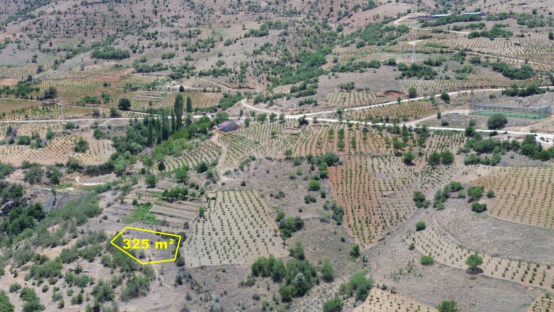 Konya / Hadim / Göynükkışla Mahallesinde 325 M² Müstakil Tapulu Bahçe - Görsel 8