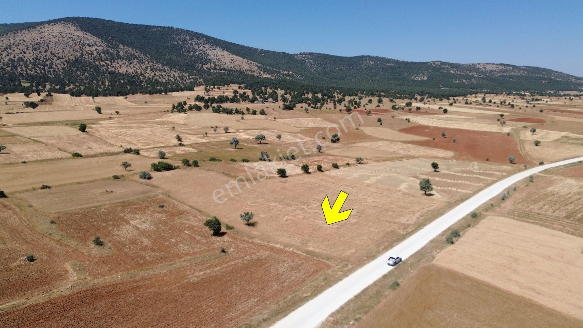 Asfalt Cepheli 4025 M² / Çamlıca Mah / Hüyük / Konya - Görsel 2