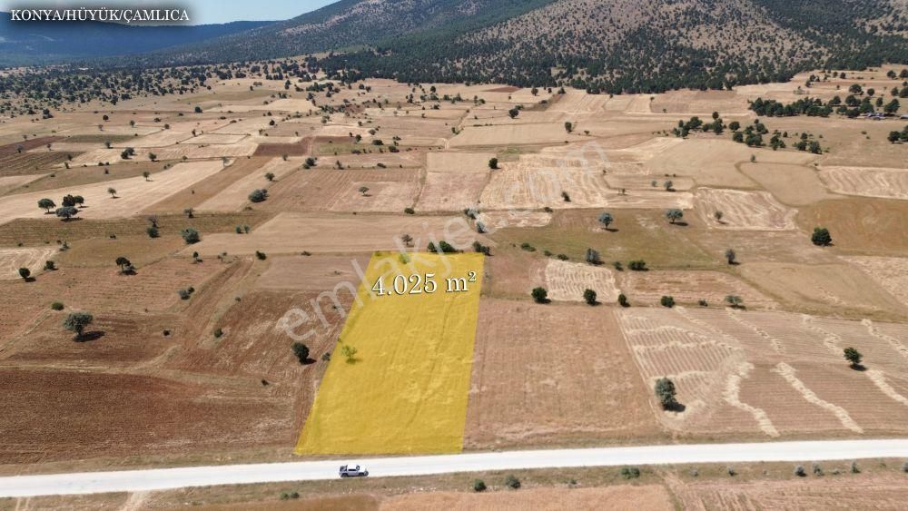Asfalt Cepheli 4025 M² / Çamlıca Mah / Hüyük / Konya - Görsel 5
