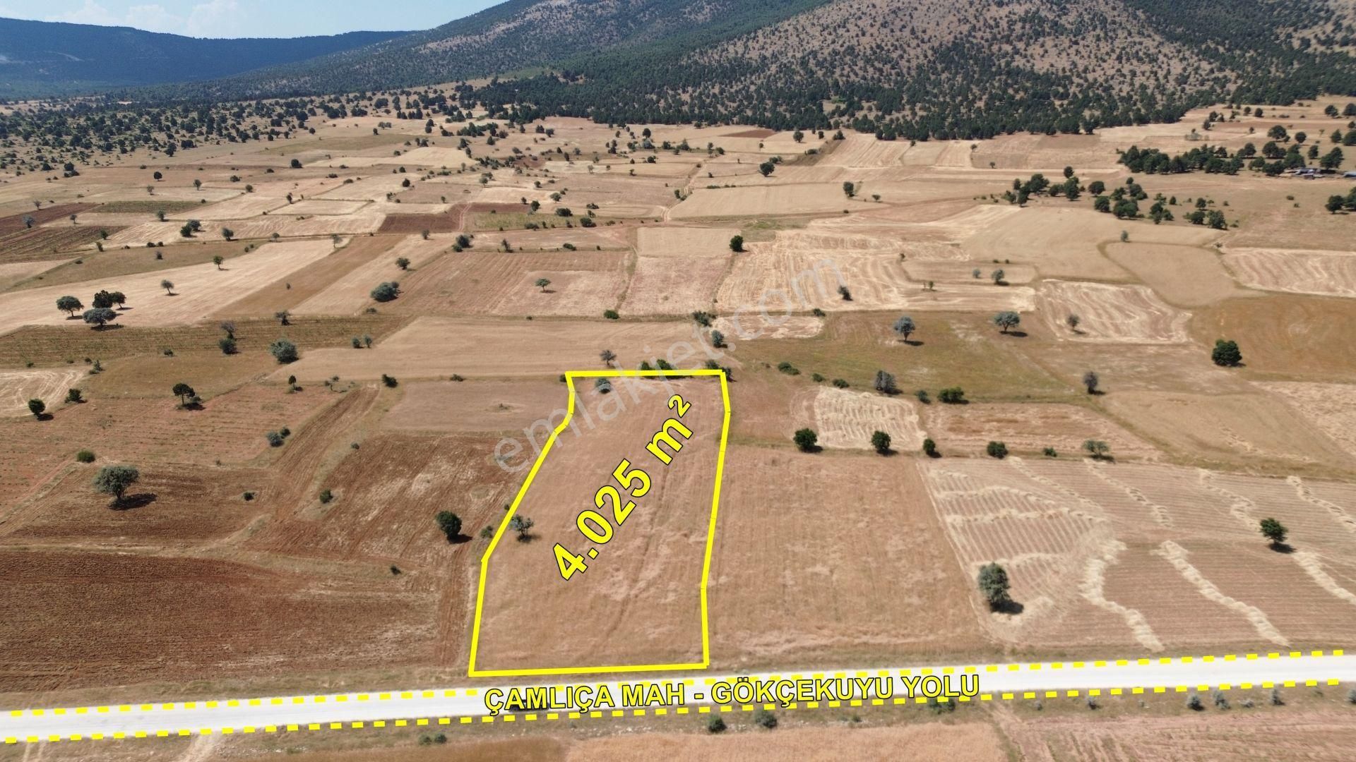 Asfalt Cepheli 4025 M² / Çamlıca Mah / Hüyük / Konya - Görsel 4