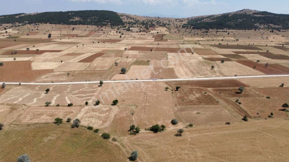 Asfalt Cepheli 4025 M² / Çamlıca Mah / Hüyük / Konya - Görsel 3