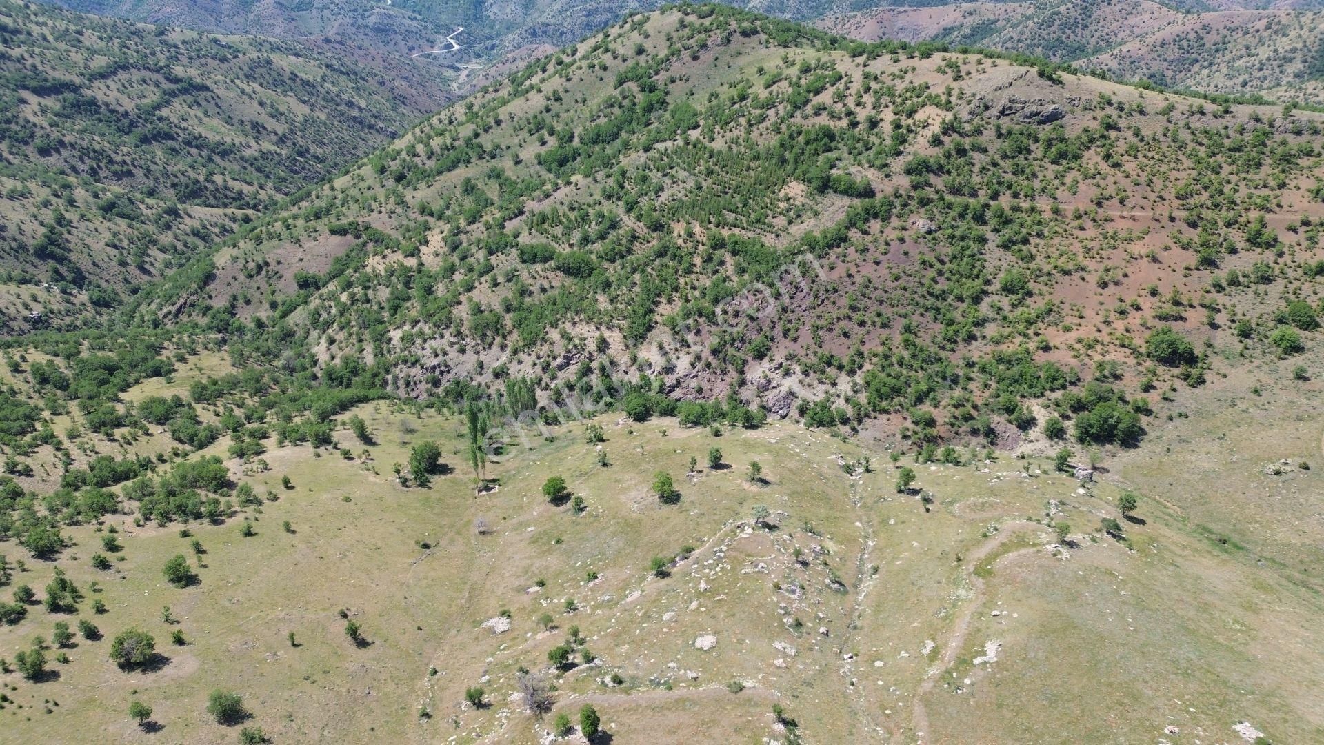 Konya / Hadim / Küplüce Mahalleisinde 582 M² Müstakil Tapulu Tarla - Görsel 7