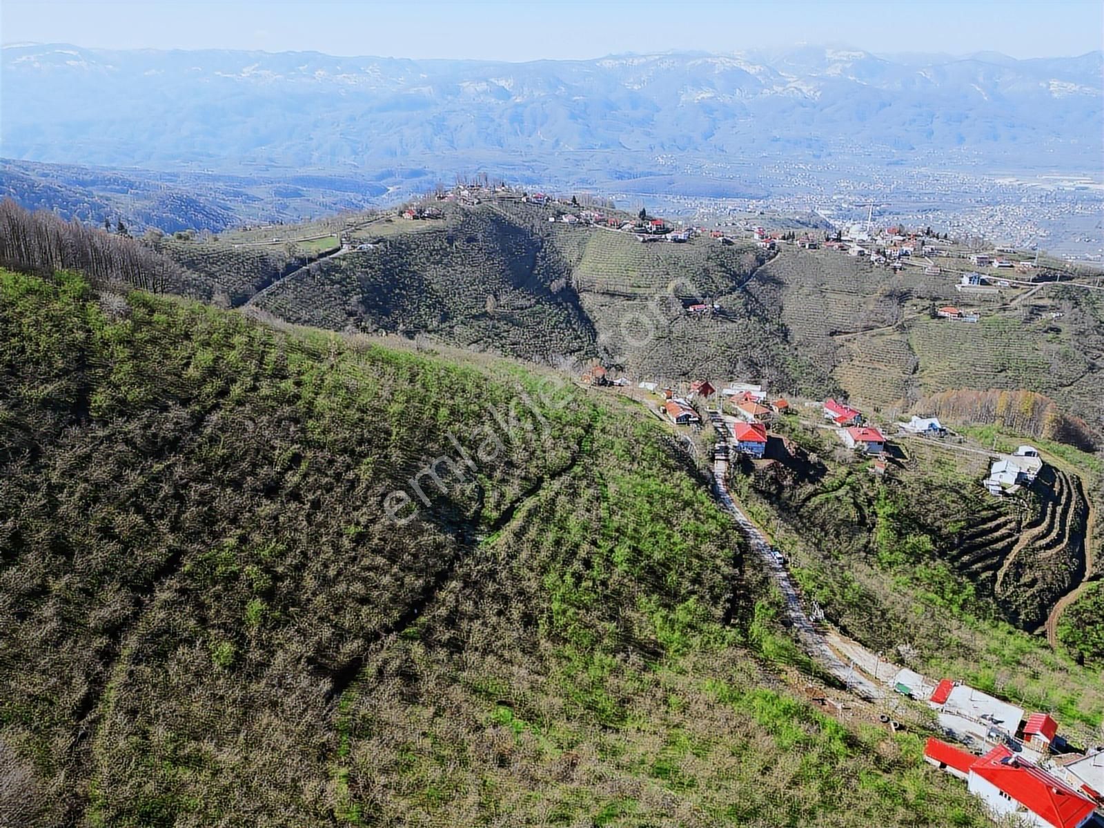 Merkez Yeniköy ' De Satılık Bahçe 2.518 M2 - Görsel 5