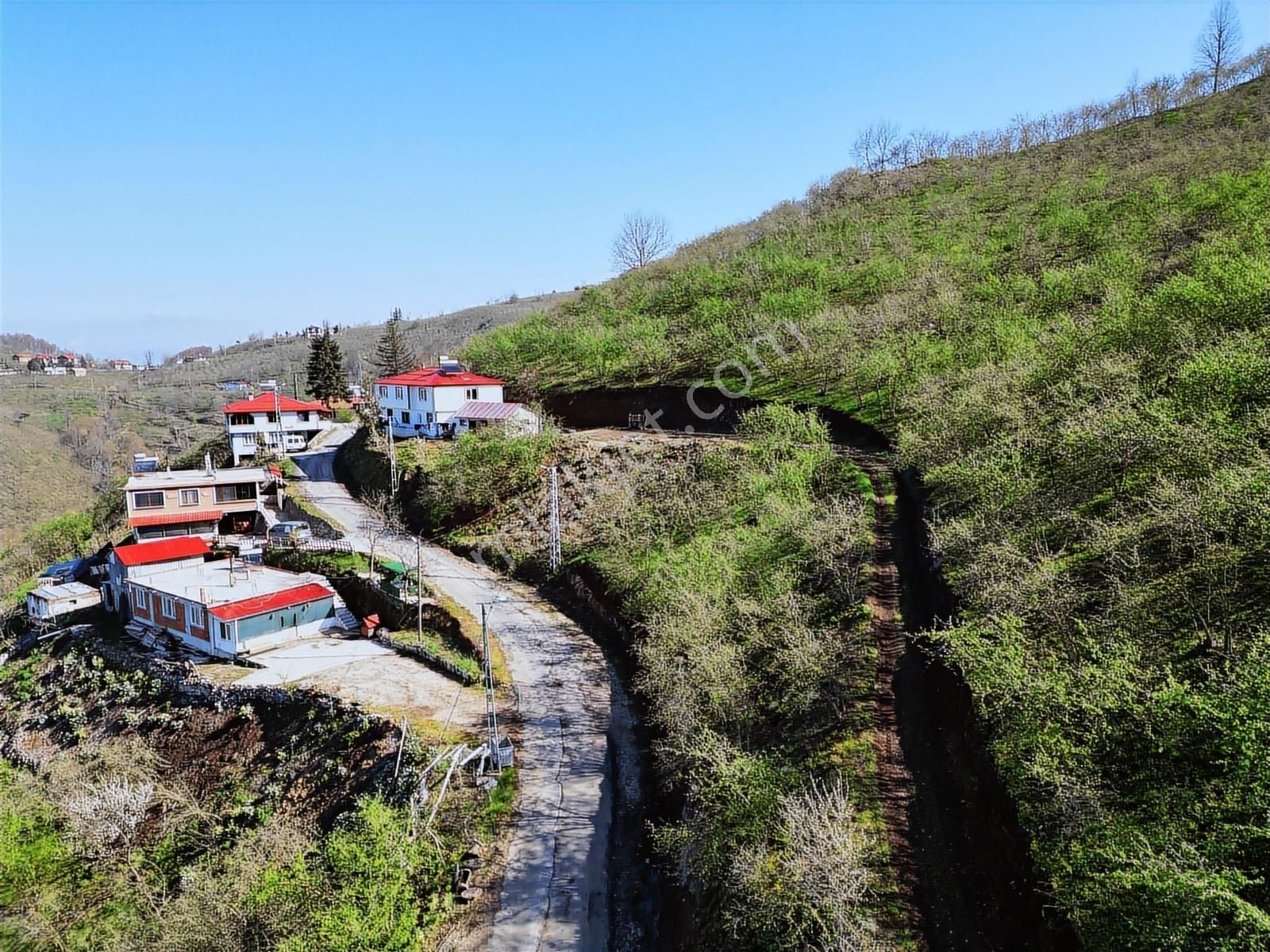 Merkez Yeniköy ' De Satılık Bahçe 2.518 M2 - Görsel 6