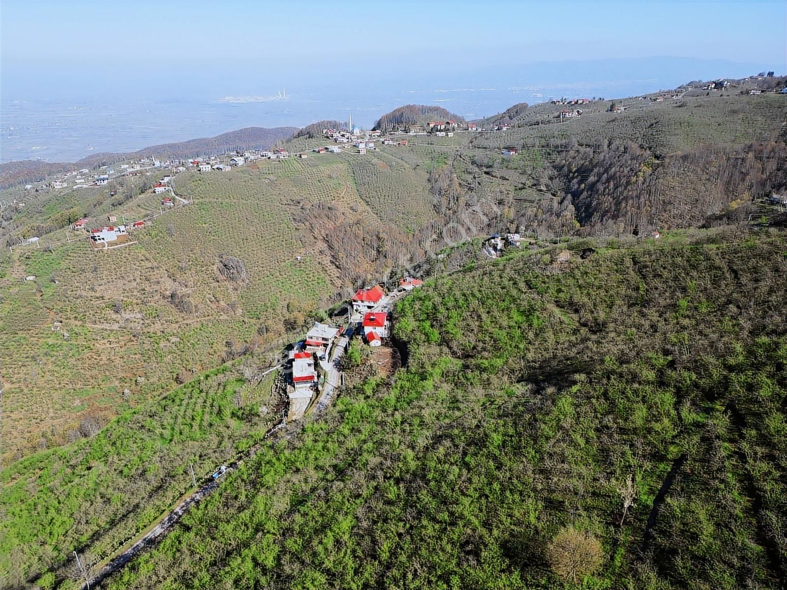 Merkez Yeniköy ' De Satılık Bahçe 2.518 M2 - Görsel 15