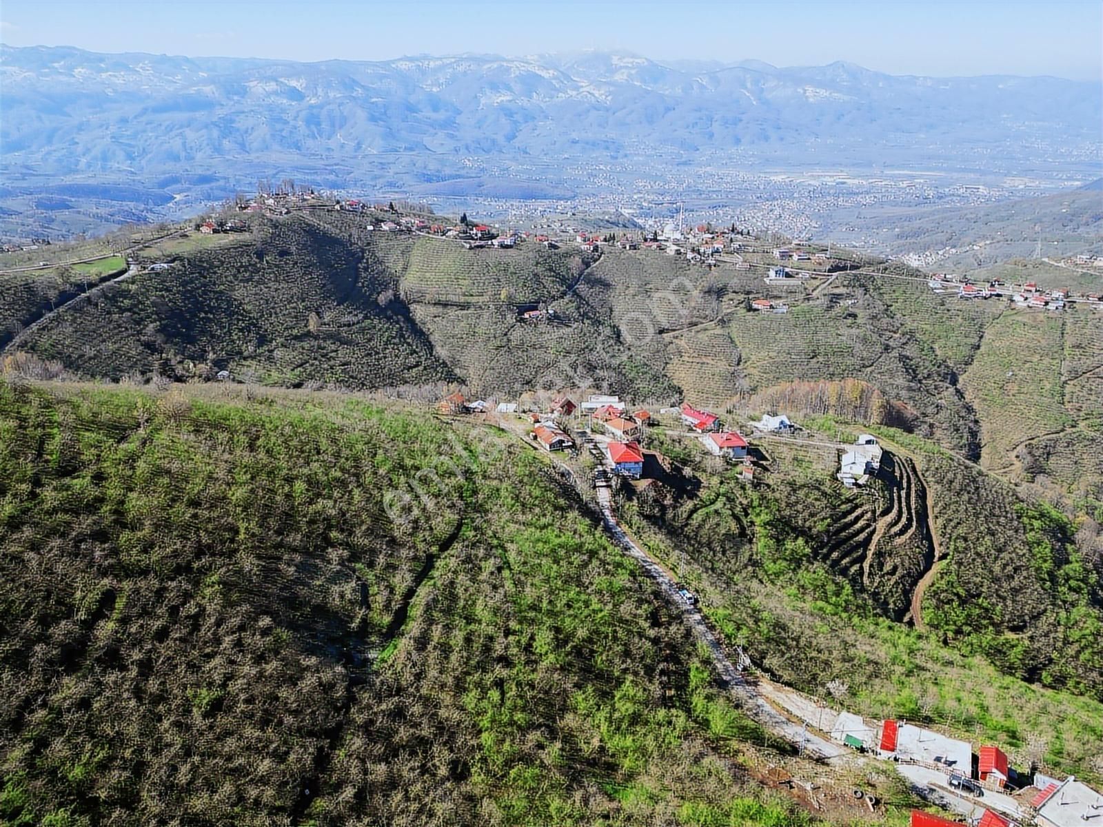 Merkez Yeniköy ' De Satılık Bahçe 2.518 M2 - Görsel 23
