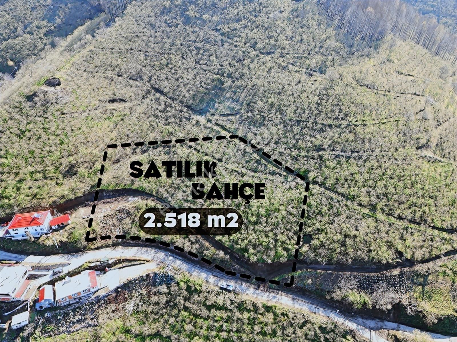 Merkez Yeniköy ' De Satılık Bahçe 2.518 M2 - Görsel 7
