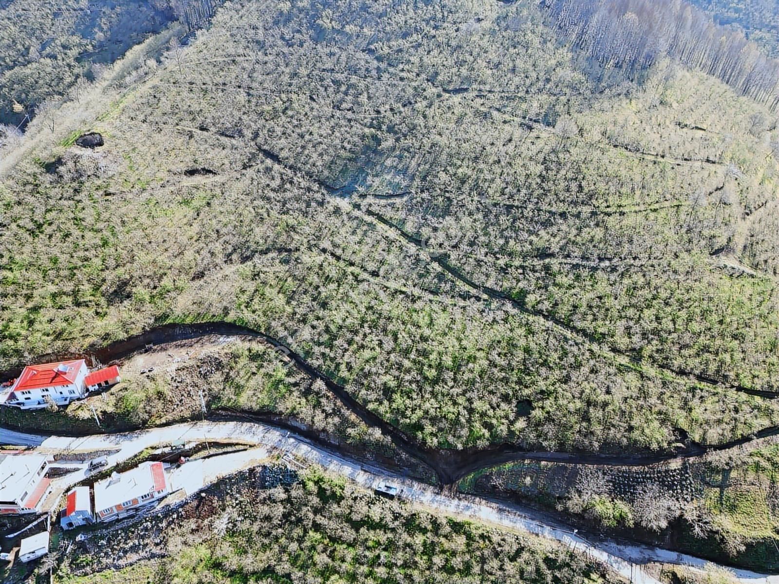 Merkez Yeniköy ' De Satılık Bahçe 2.518 M2 - Görsel 20