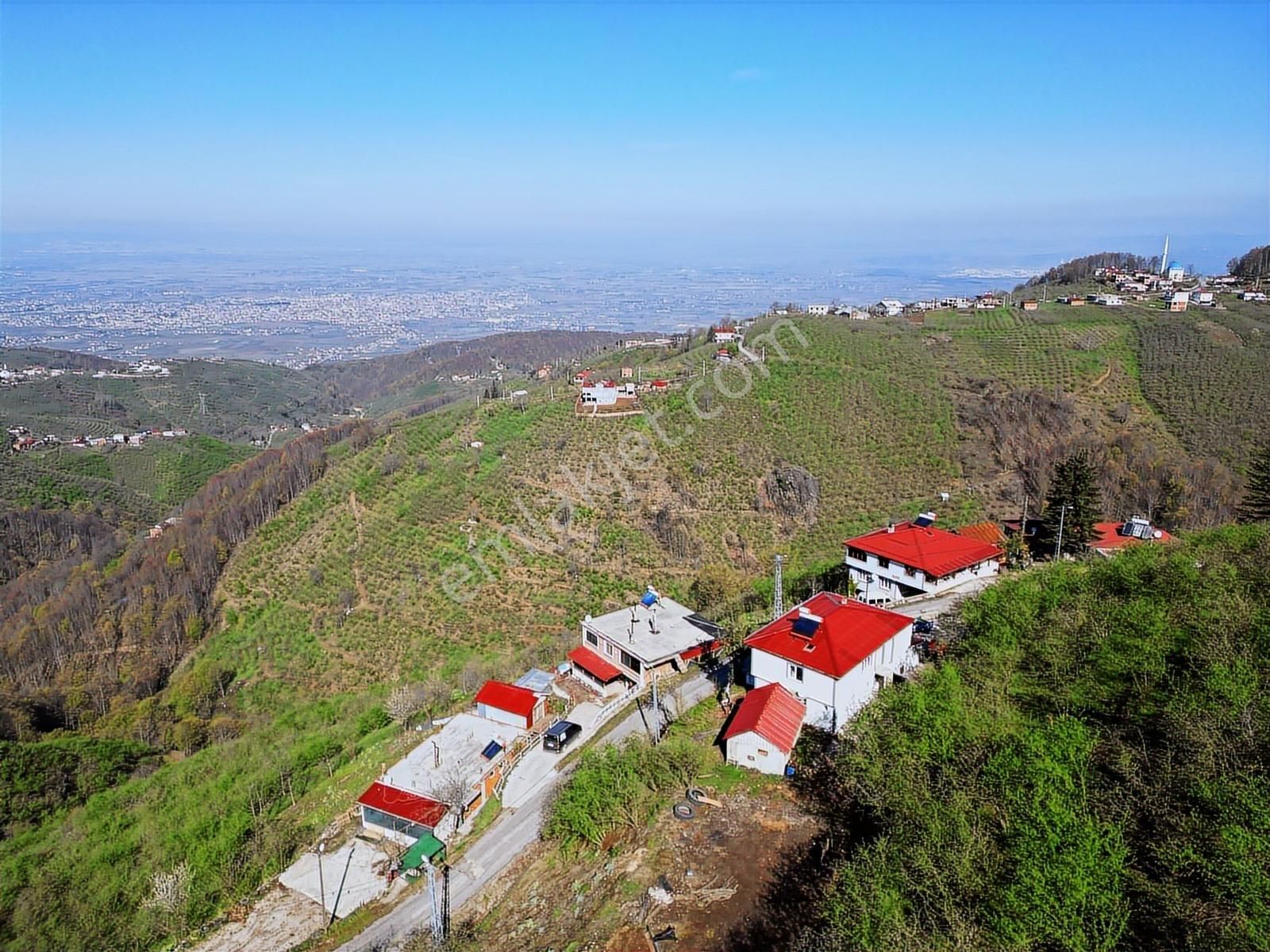 Merkez Yeniköy ' De Satılık Bahçe 2.518 M2 - Görsel 26