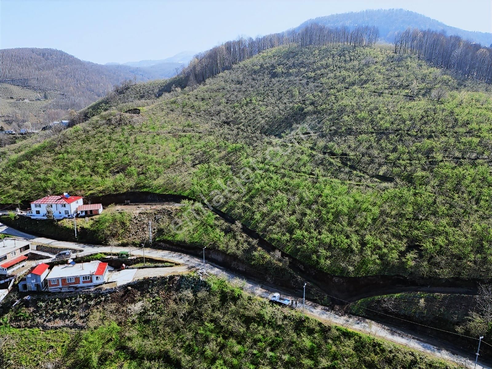 Merkez Yeniköy ' De Satılık Bahçe 2.518 M2 - Görsel 12