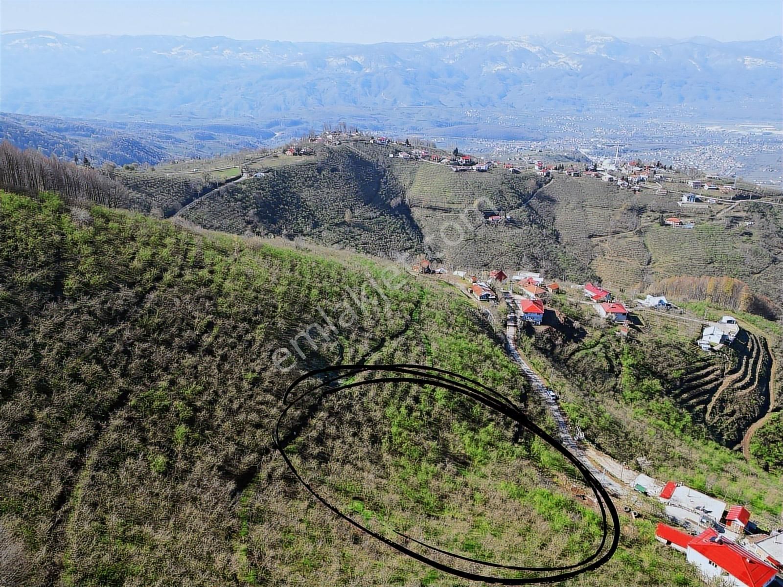 Merkez Yeniköy ' De Satılık Bahçe 2.518 M2 - Görsel 8