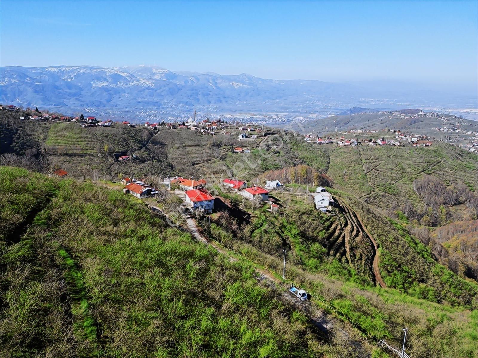 Merkez Yeniköy ' De Satılık Bahçe 2.518 M2 - Görsel 25