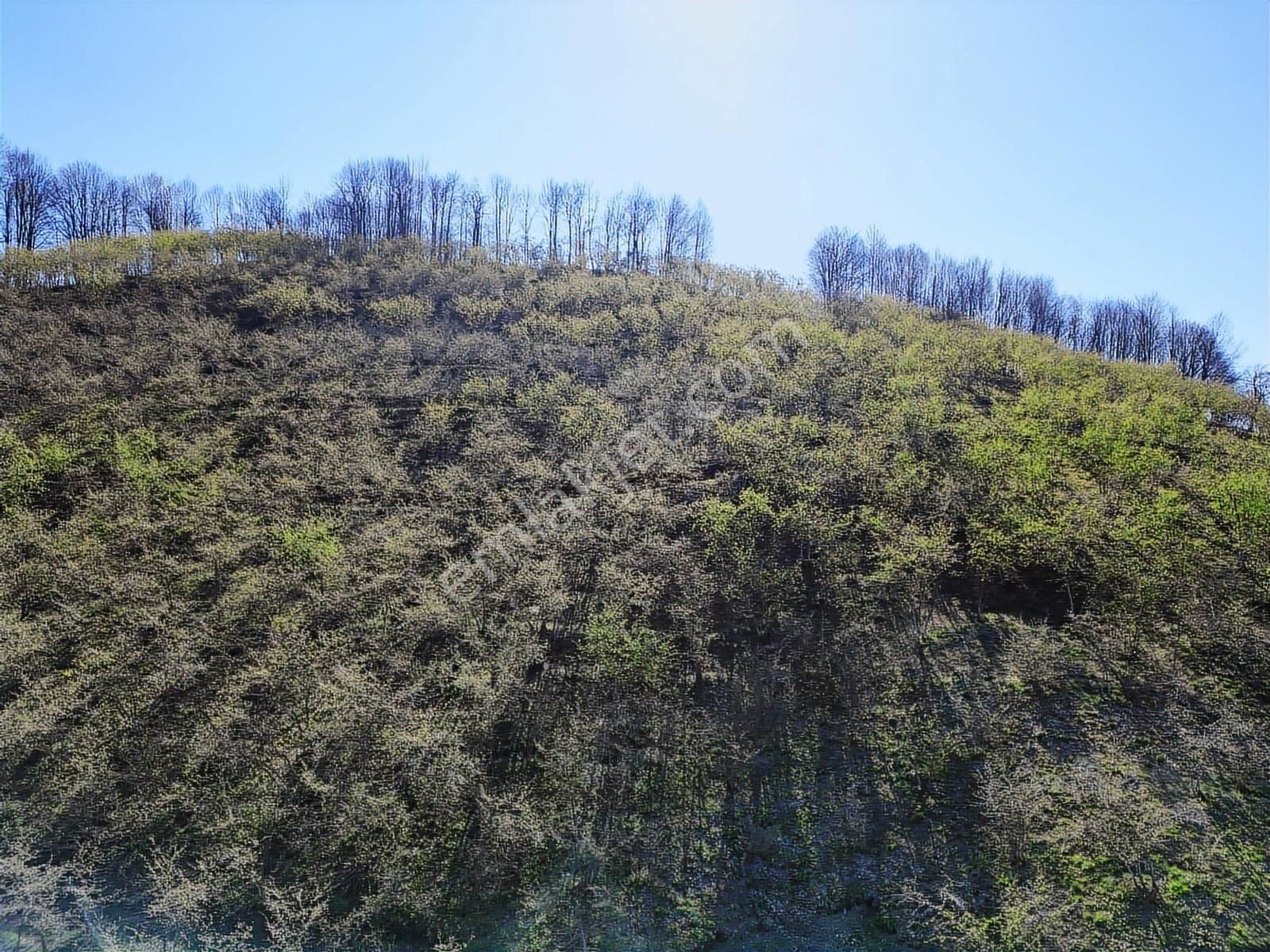 Merkez Yeniköy ' De Satılık Bahçe 2.518 M2 - Görsel 27