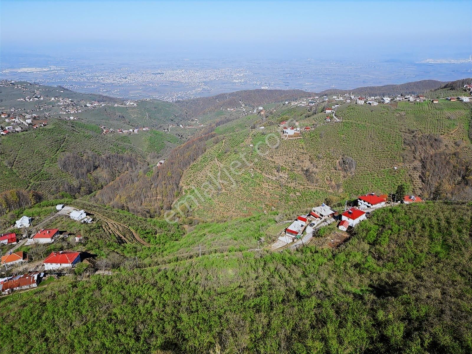 Merkez Yeniköy ' De Satılık Bahçe 2.518 M2 - Görsel 16