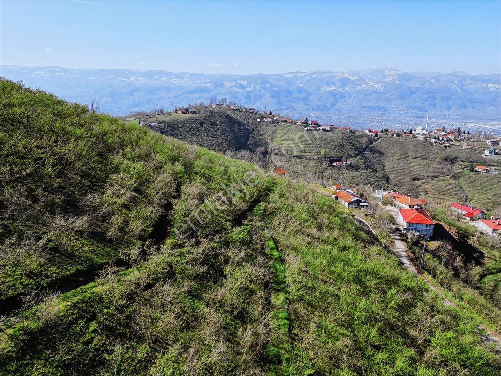 Merkez Yeniköy ' De Satılık Bahçe 2.518 M2 - Görsel 2