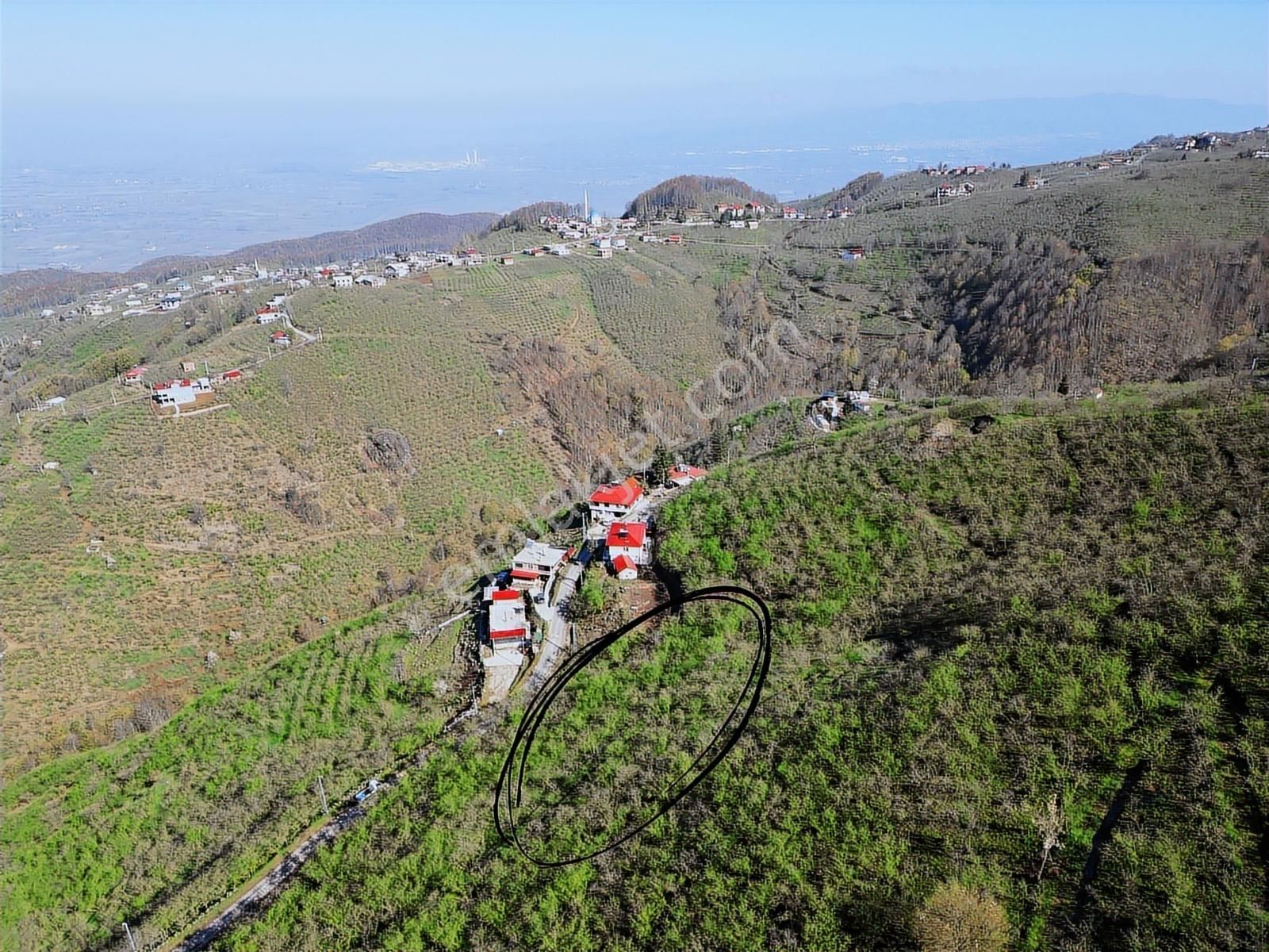 Merkez Yeniköy ' De Satılık Bahçe 2.518 M2 - Görsel 10