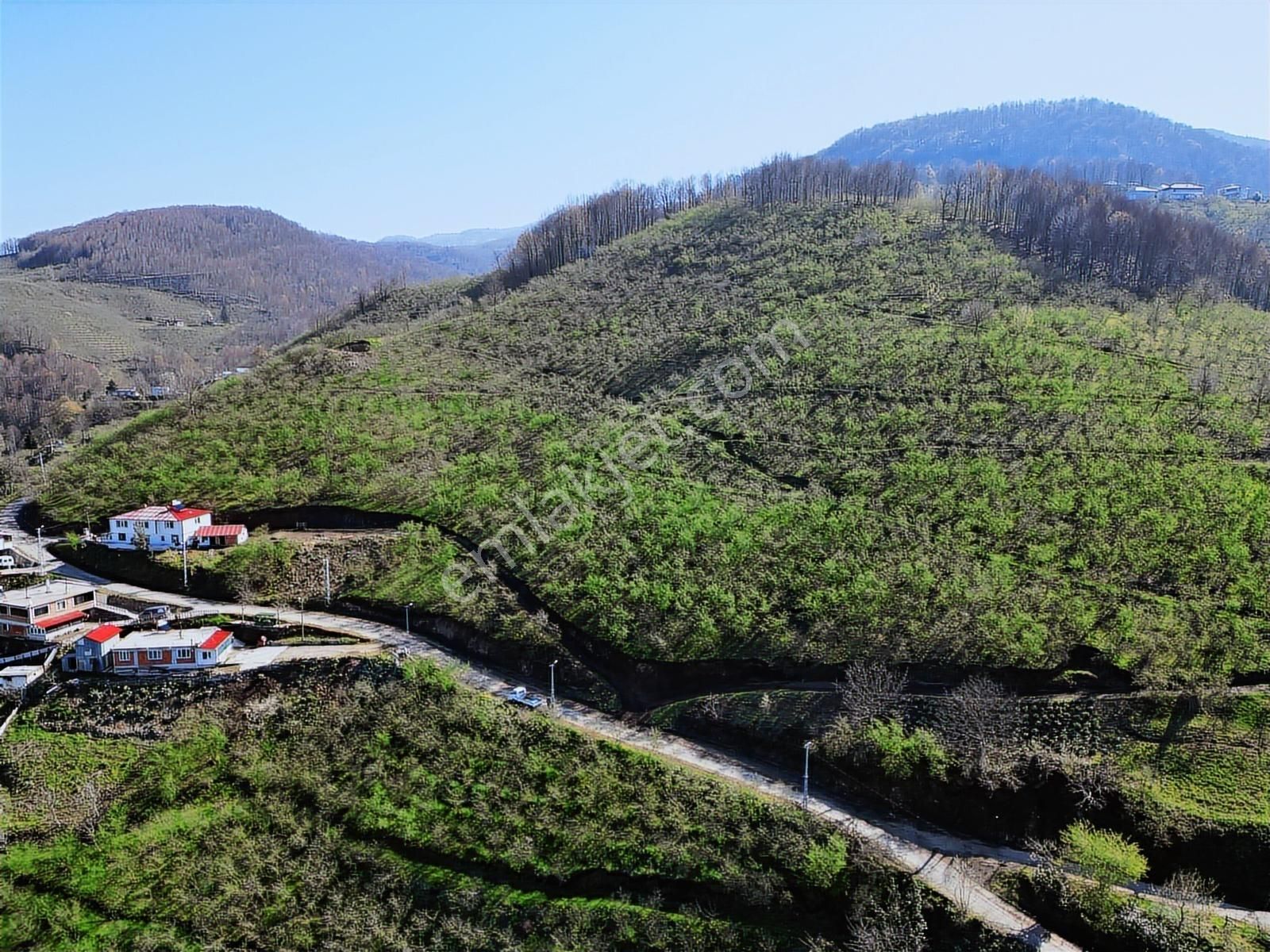 Merkez Yeniköy ' De Satılık Bahçe 2.518 M2 - Görsel 4