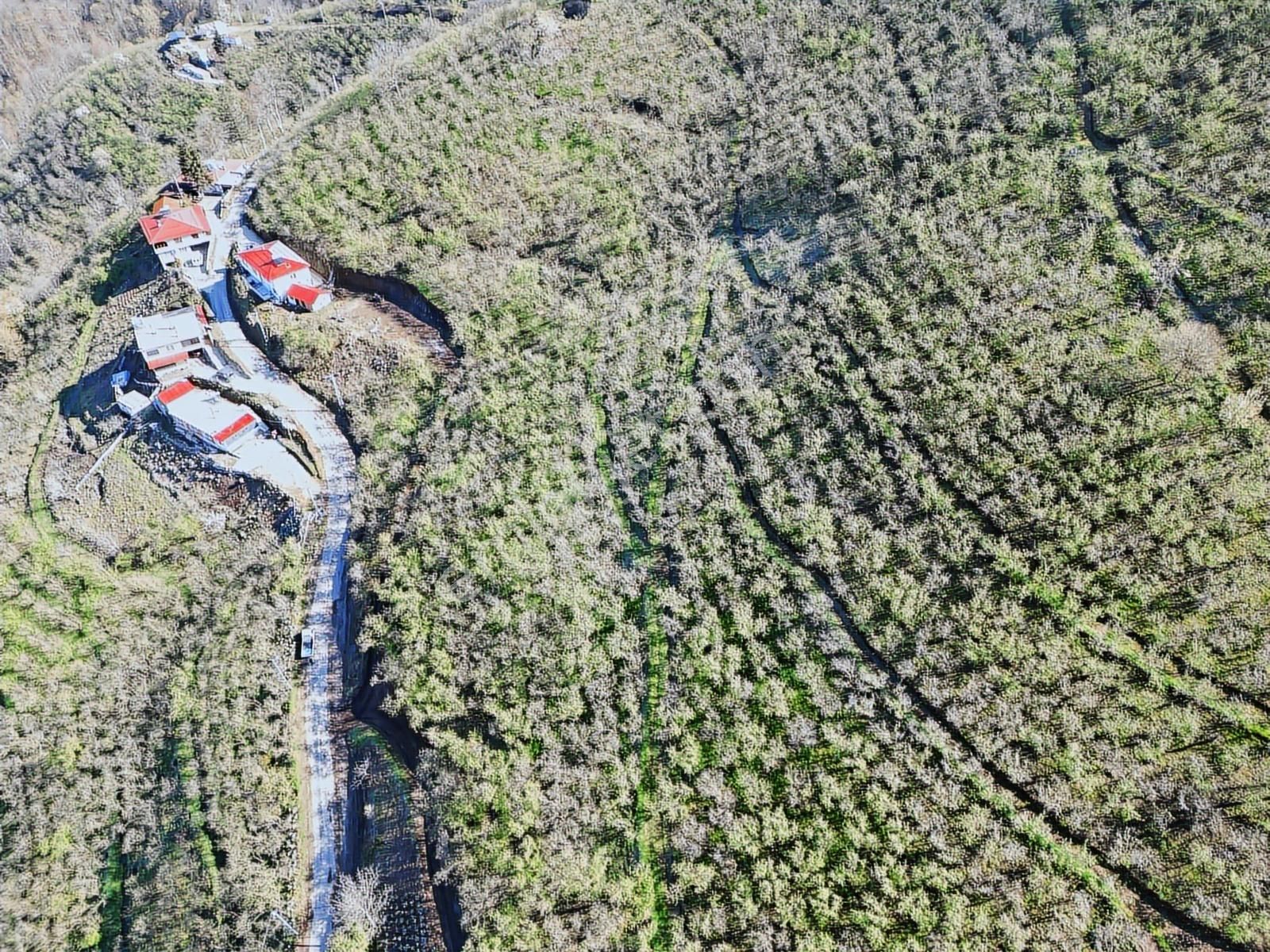 Merkez Yeniköy ' De Satılık Bahçe 2.518 M2 - Görsel 21