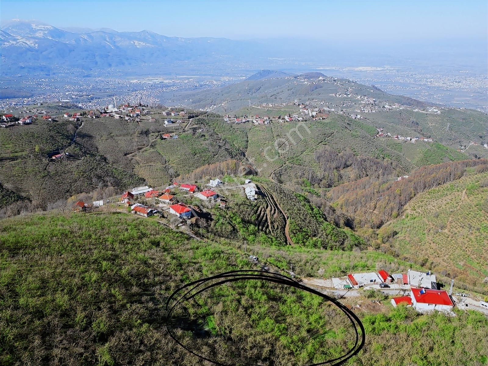 Merkez Yeniköy ' De Satılık Bahçe 2.518 M2 - Görsel 17