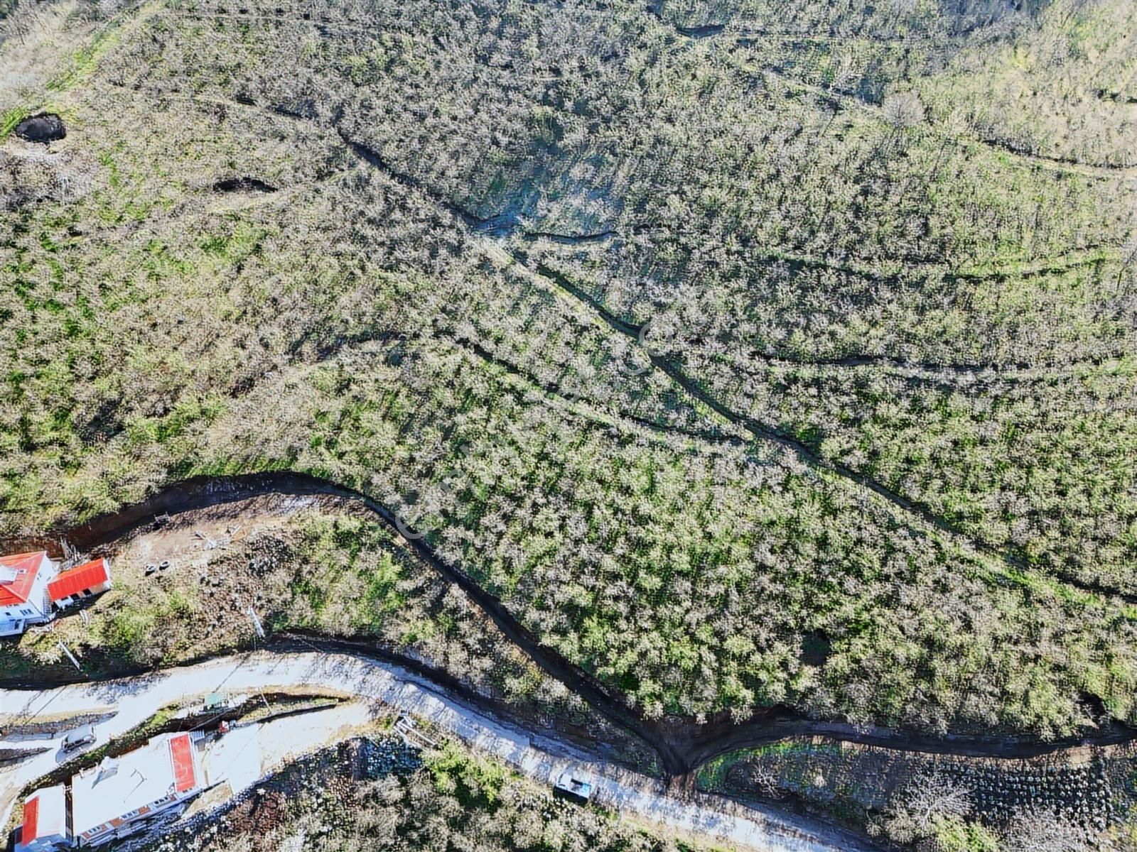 Merkez Yeniköy ' De Satılık Bahçe 2.518 M2 - Görsel 19