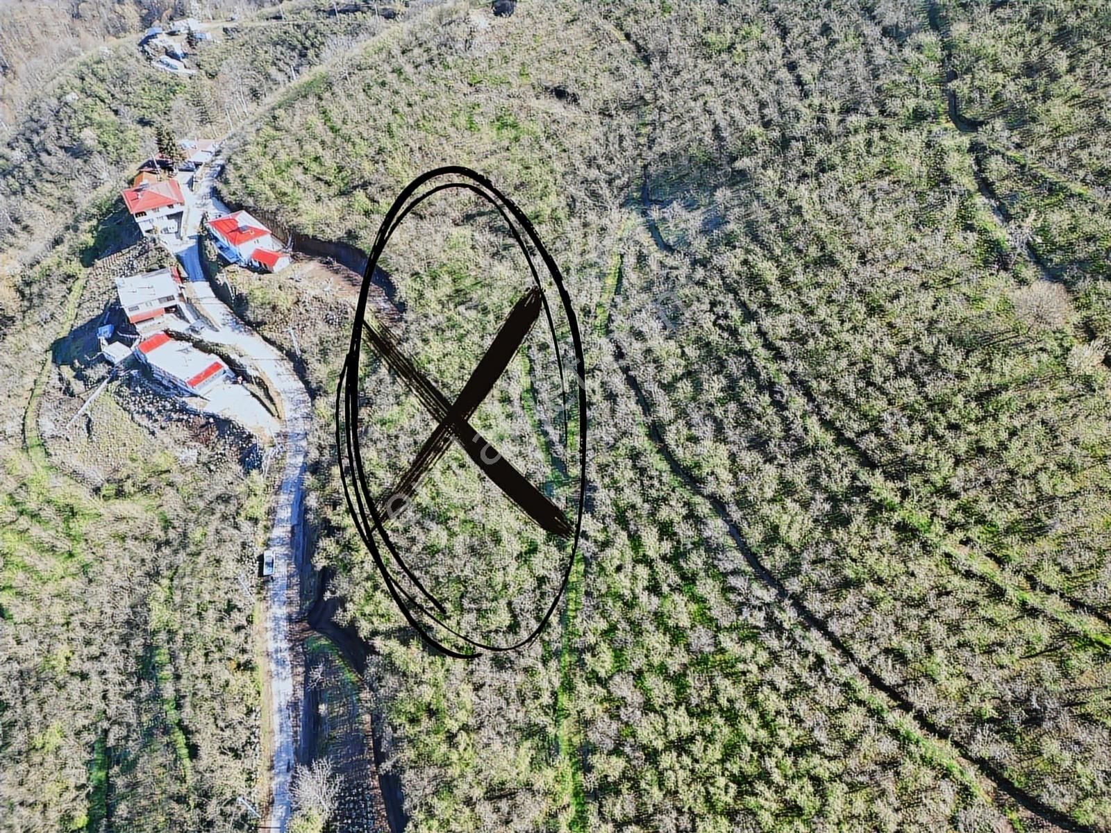 Merkez Yeniköy ' De Satılık Bahçe 2.518 M2 - Görsel 9