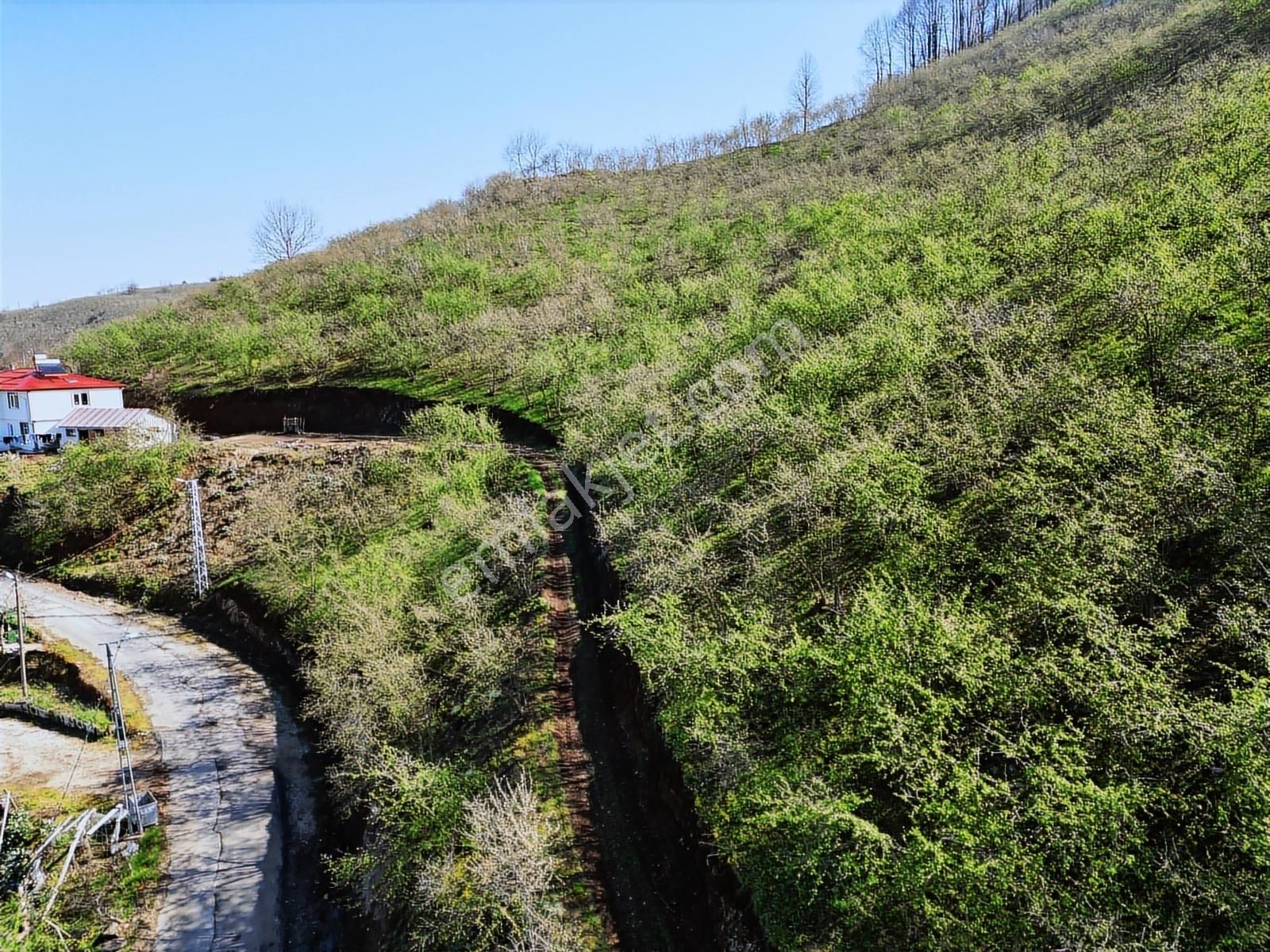 Merkez Yeniköy ' De Satılık Bahçe 2.518 M2 - Görsel 30