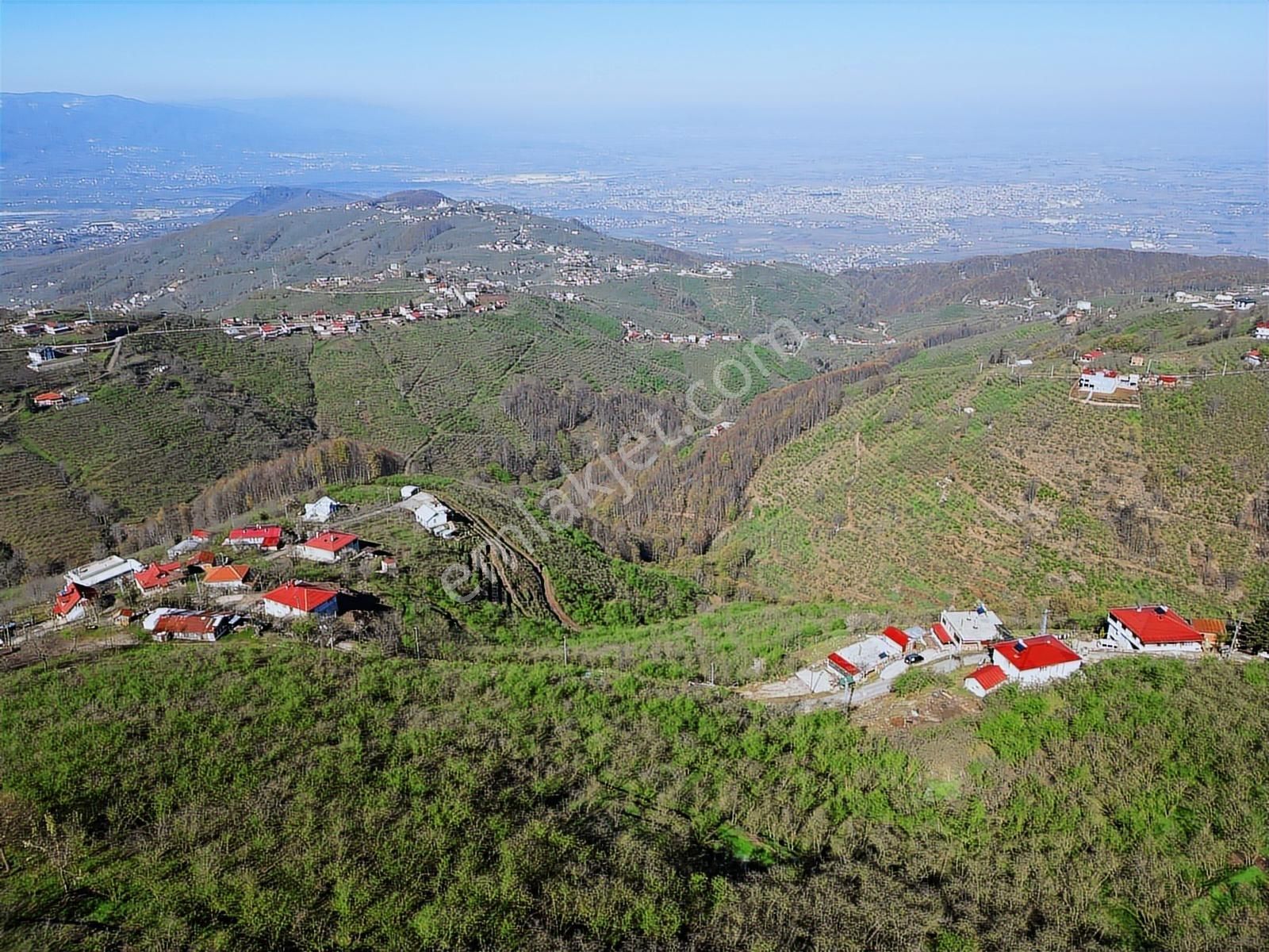 Merkez Yeniköy ' De Satılık Bahçe 2.518 M2 - Görsel 29